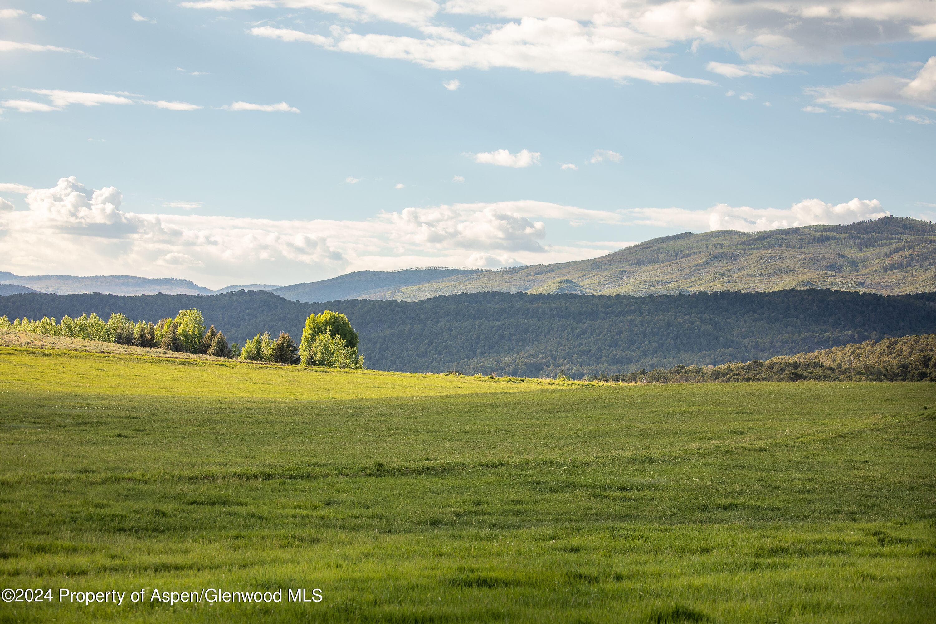 1900 Co Rd 103, Carbondale, CO 81623 - Photo 9