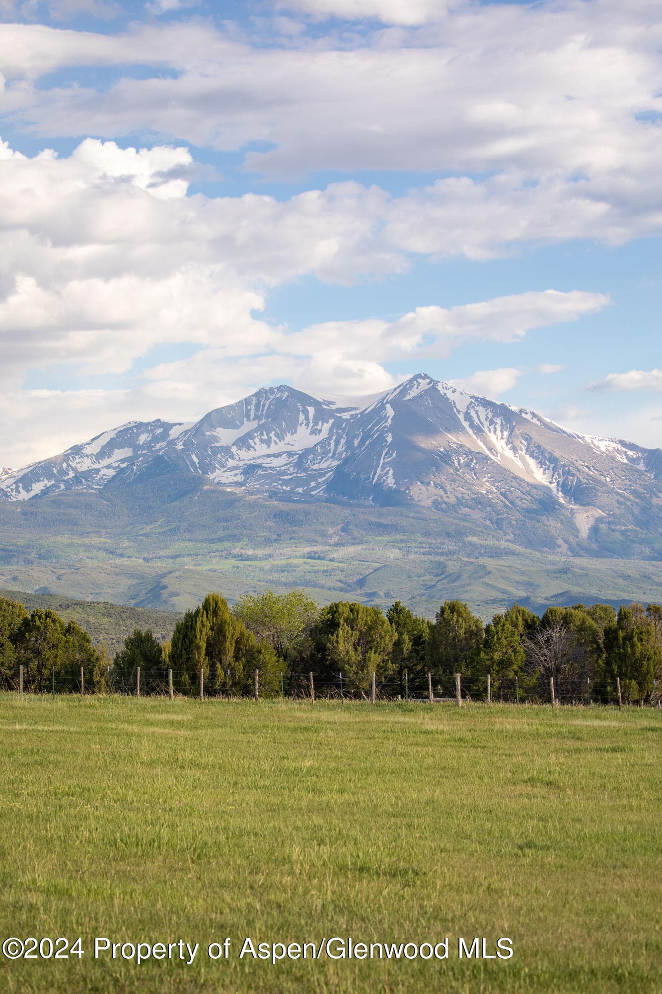 1900 Co Rd 103, Carbondale, CO 81623 - Photo 10