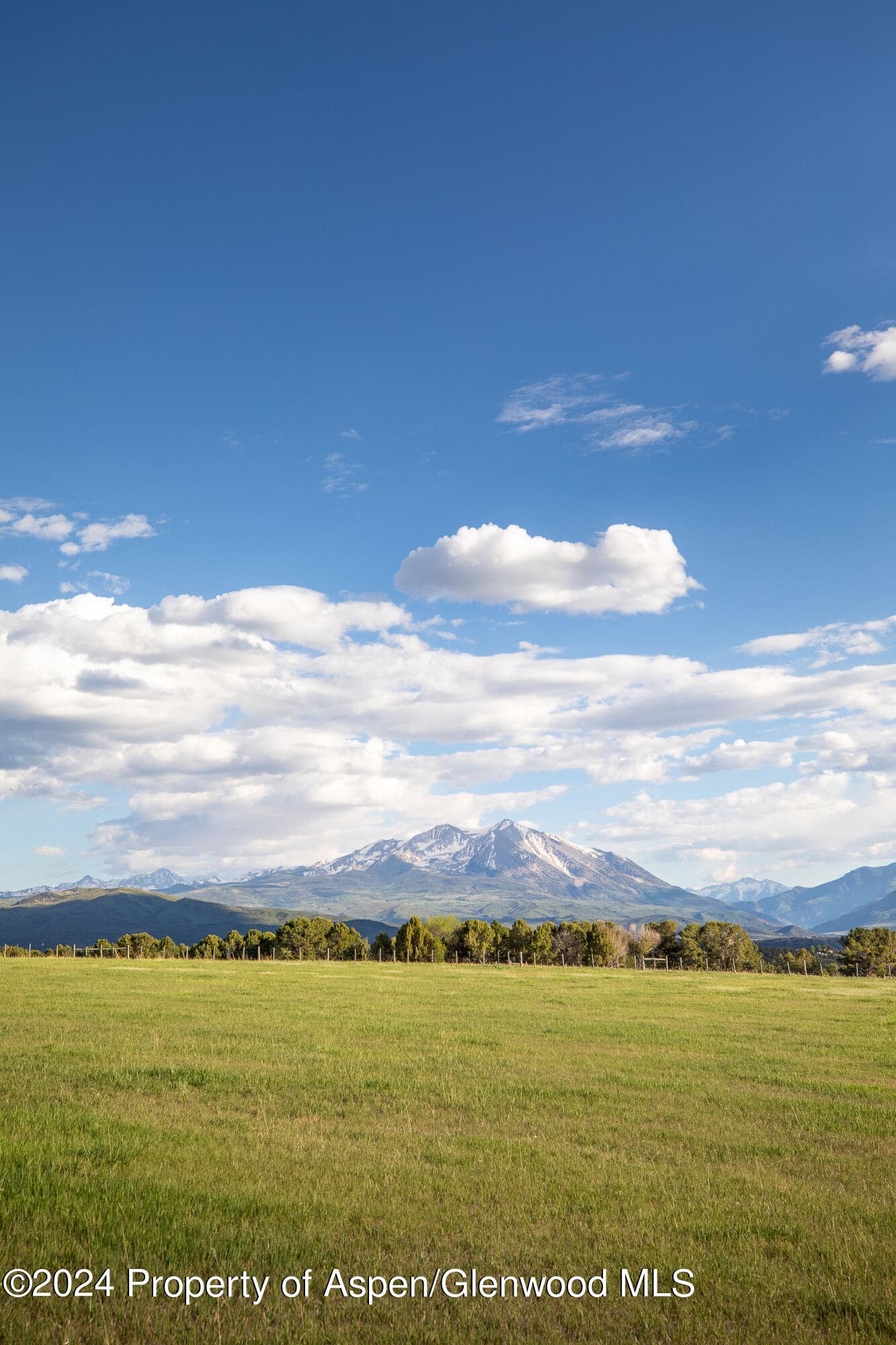 1900 Co Rd 103, Carbondale, CO 81623 - Photo 12