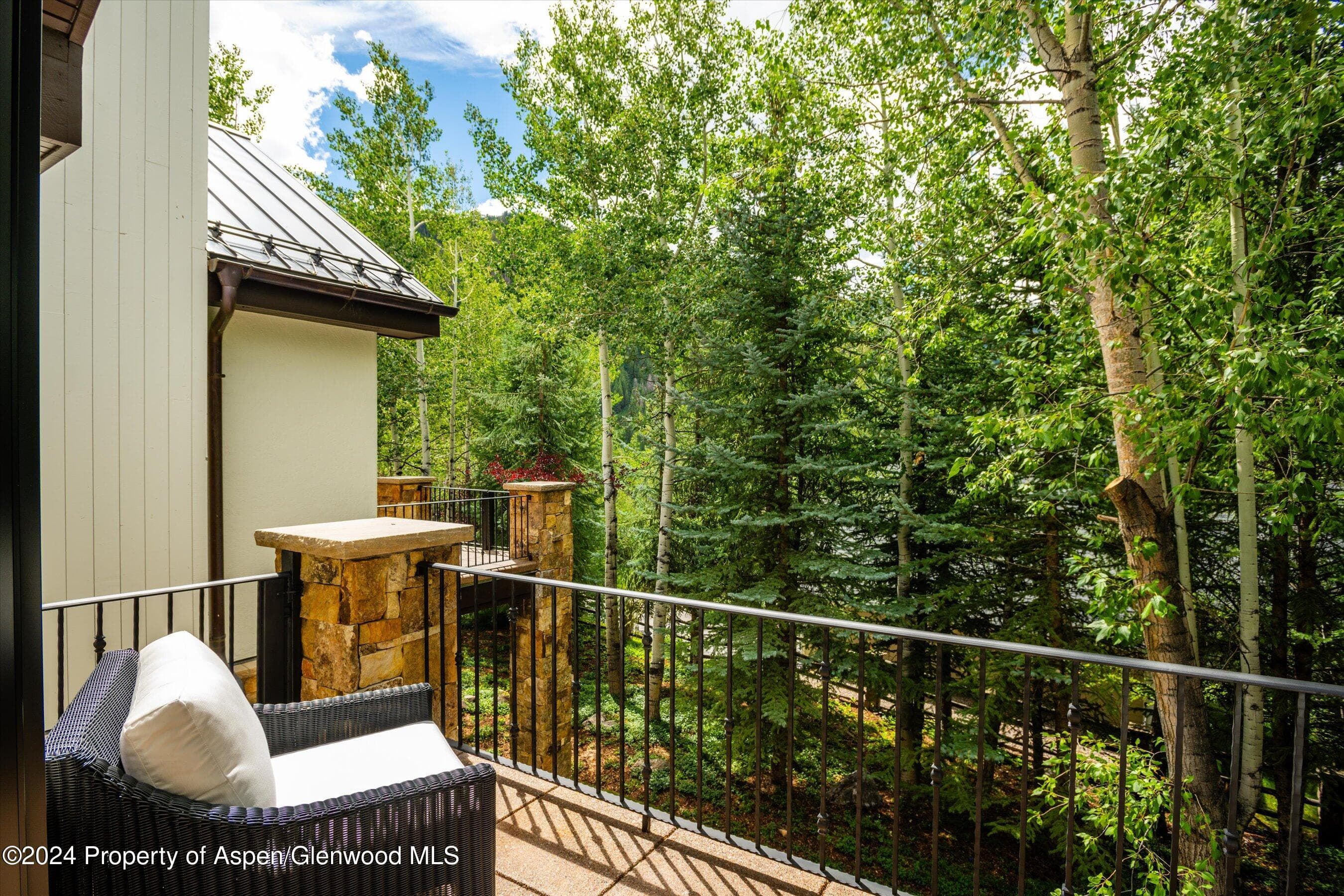 137 Westview Drive, Aspen, CO 81611 - Photo 20