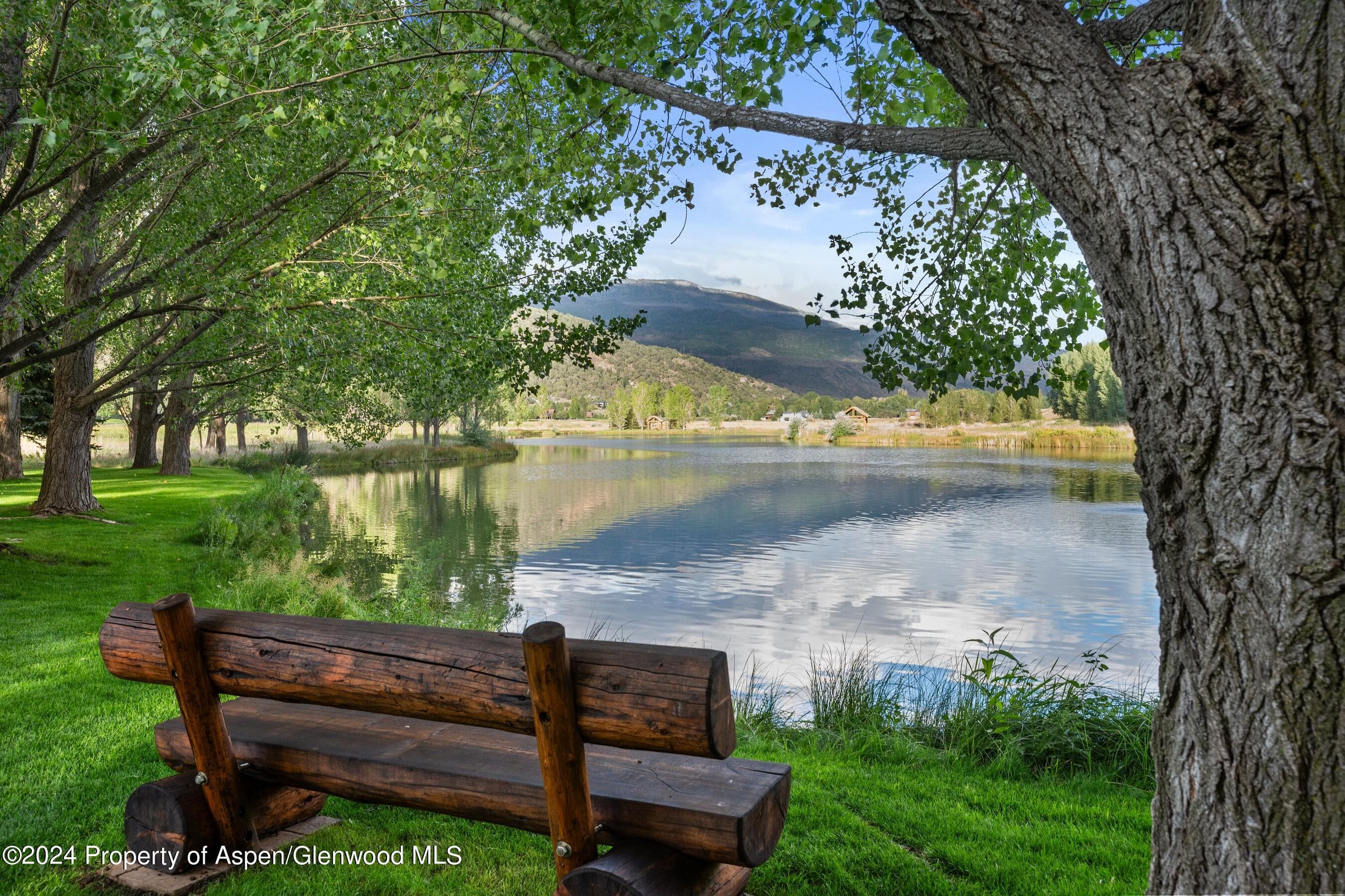 564 Larkspur Drive, Carbondale, CO 81623 - Photo 47