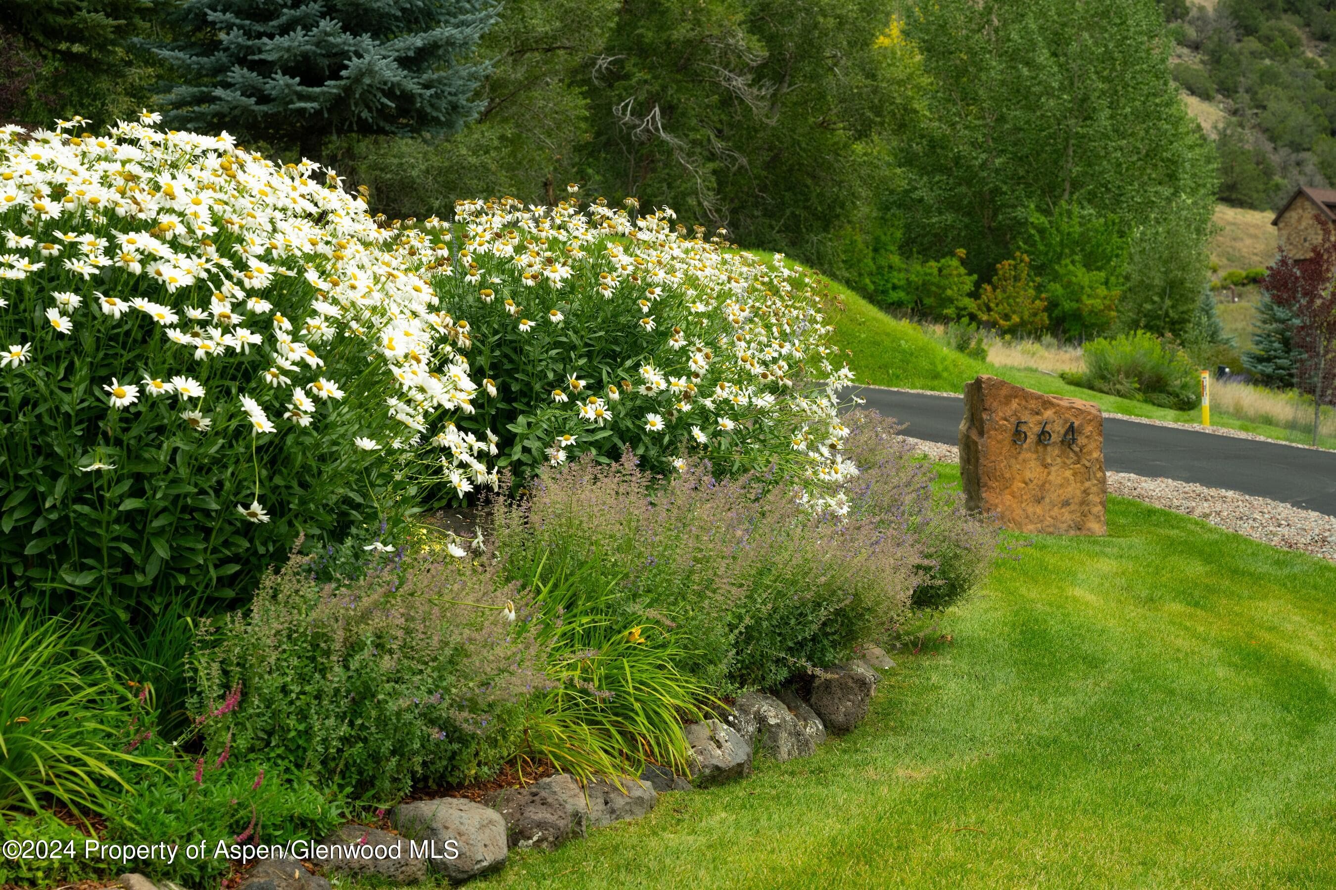 564 Larkspur Drive, Carbondale, CO 81623 - Photo 49