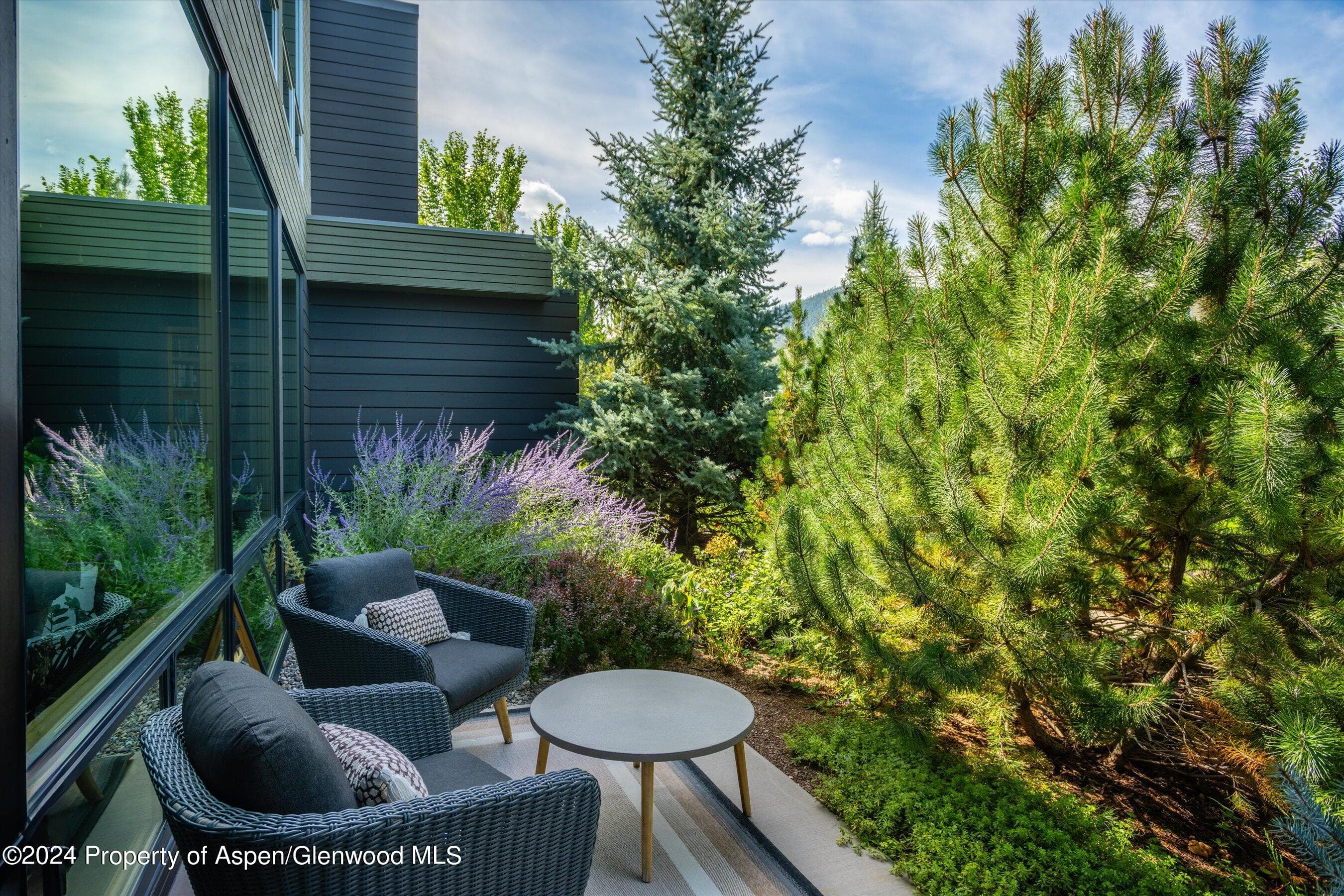 102 Evans Road 103, Basalt, CO 81621 - Photo 15