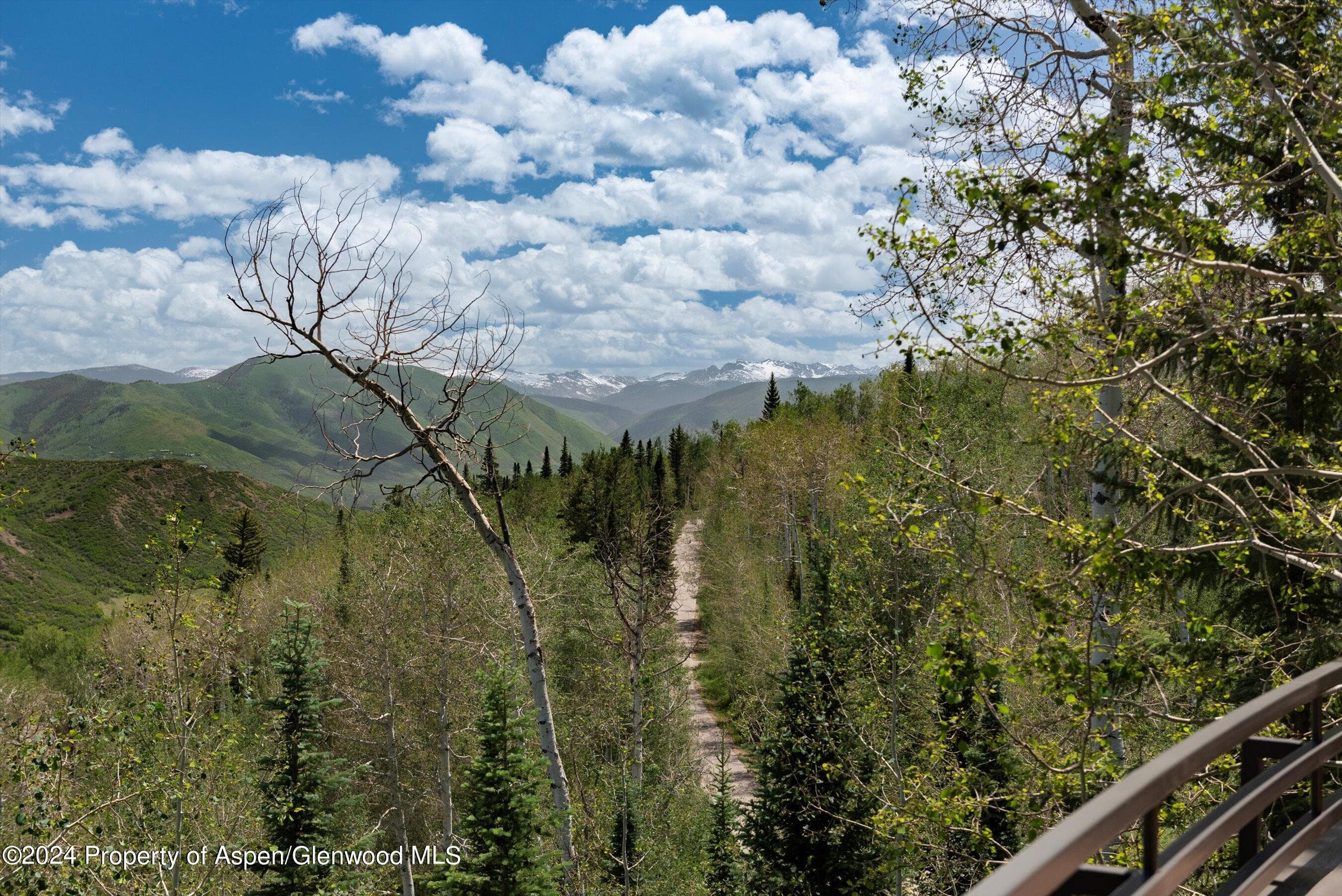 964 Faraway Road, Snowmass Village, CO 81615 - Photo 72