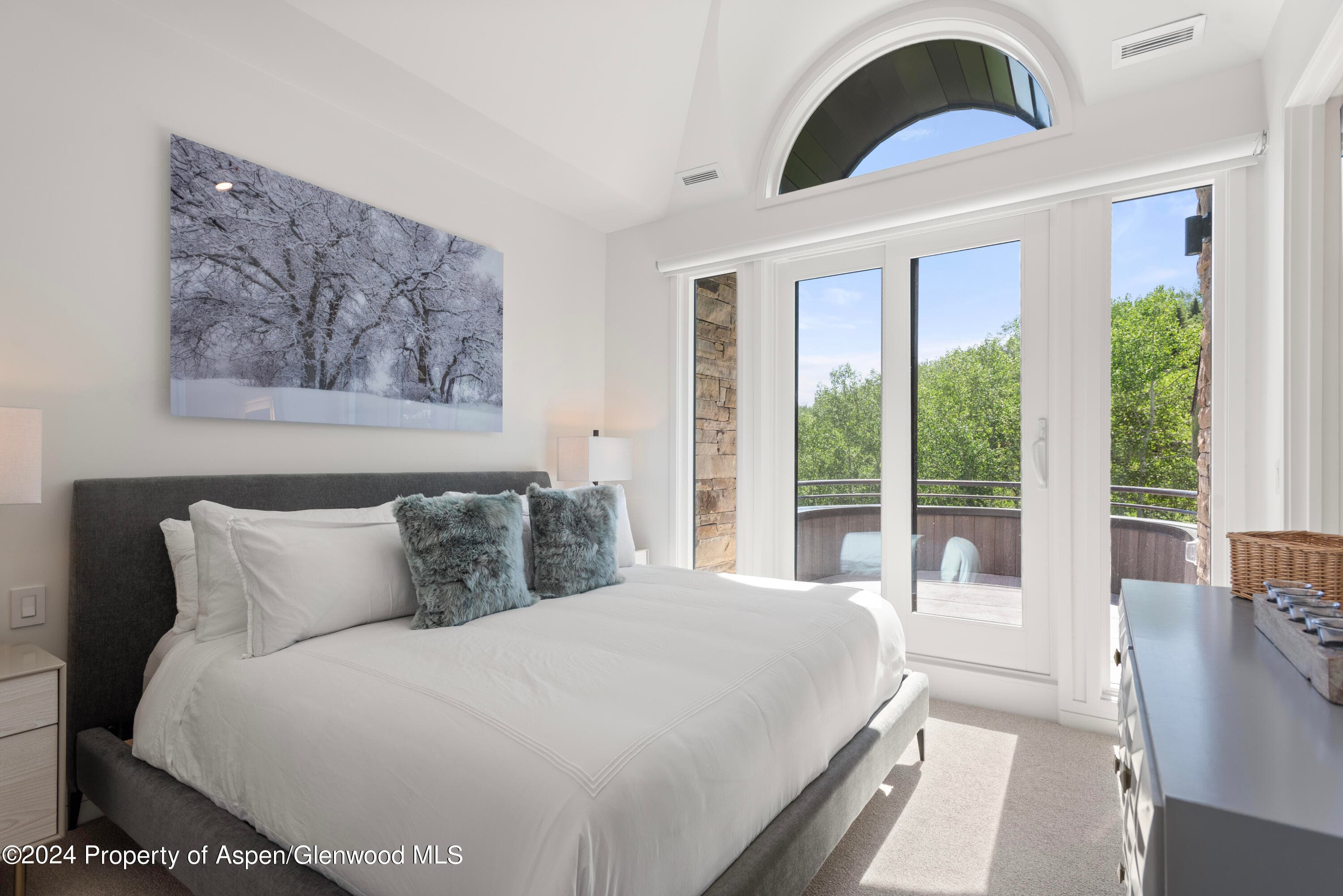 381 Ridge Road C4, Snowmass Village, CO 81615 - Photo 24