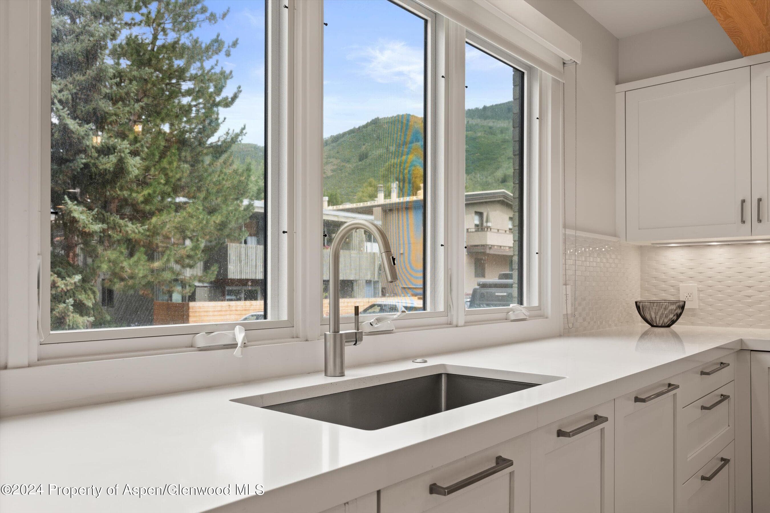 812 E Cooper Avenue, Aspen, CO 81611 - Photo 17