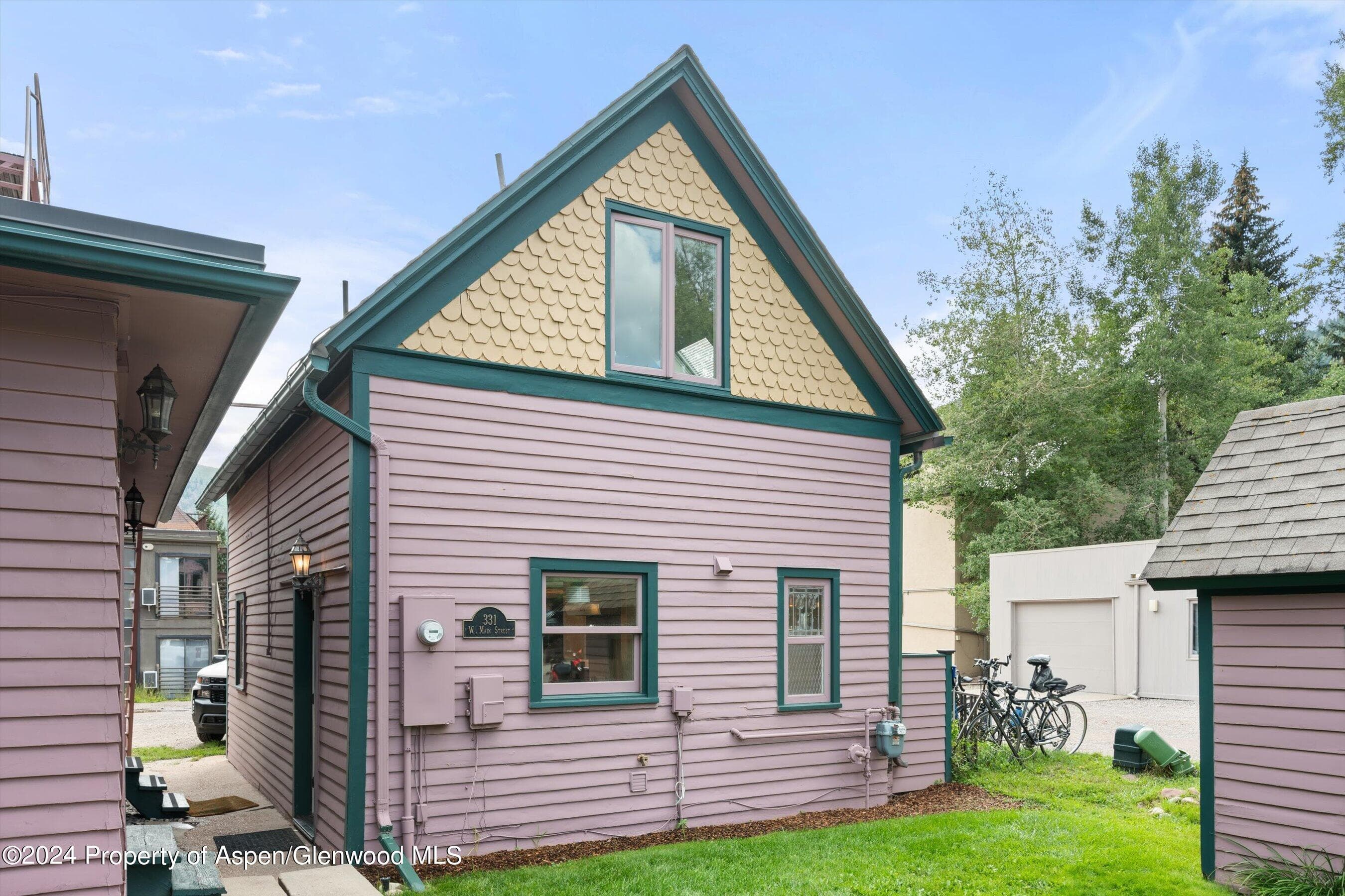 331 W Main Street Unit B, Aspen, CO 81611 - Photo 21