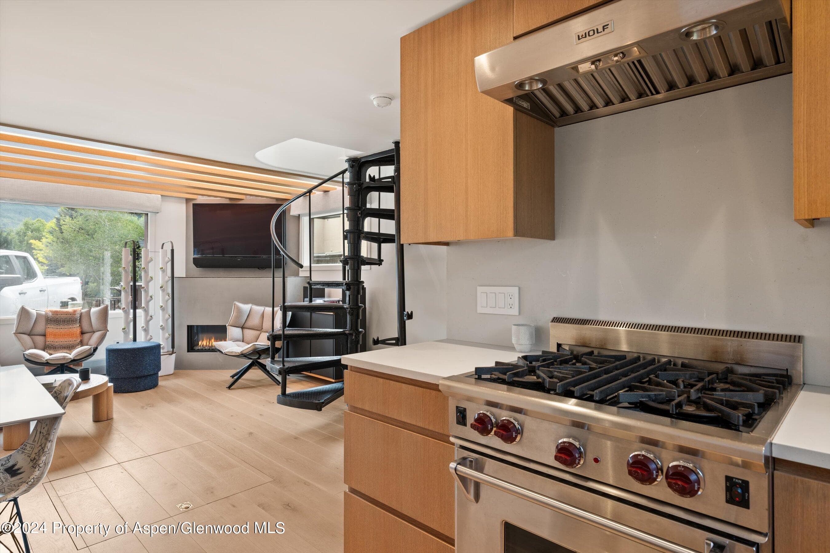 331 W Main Street Unit B, Aspen, CO 81611 - Photo 8