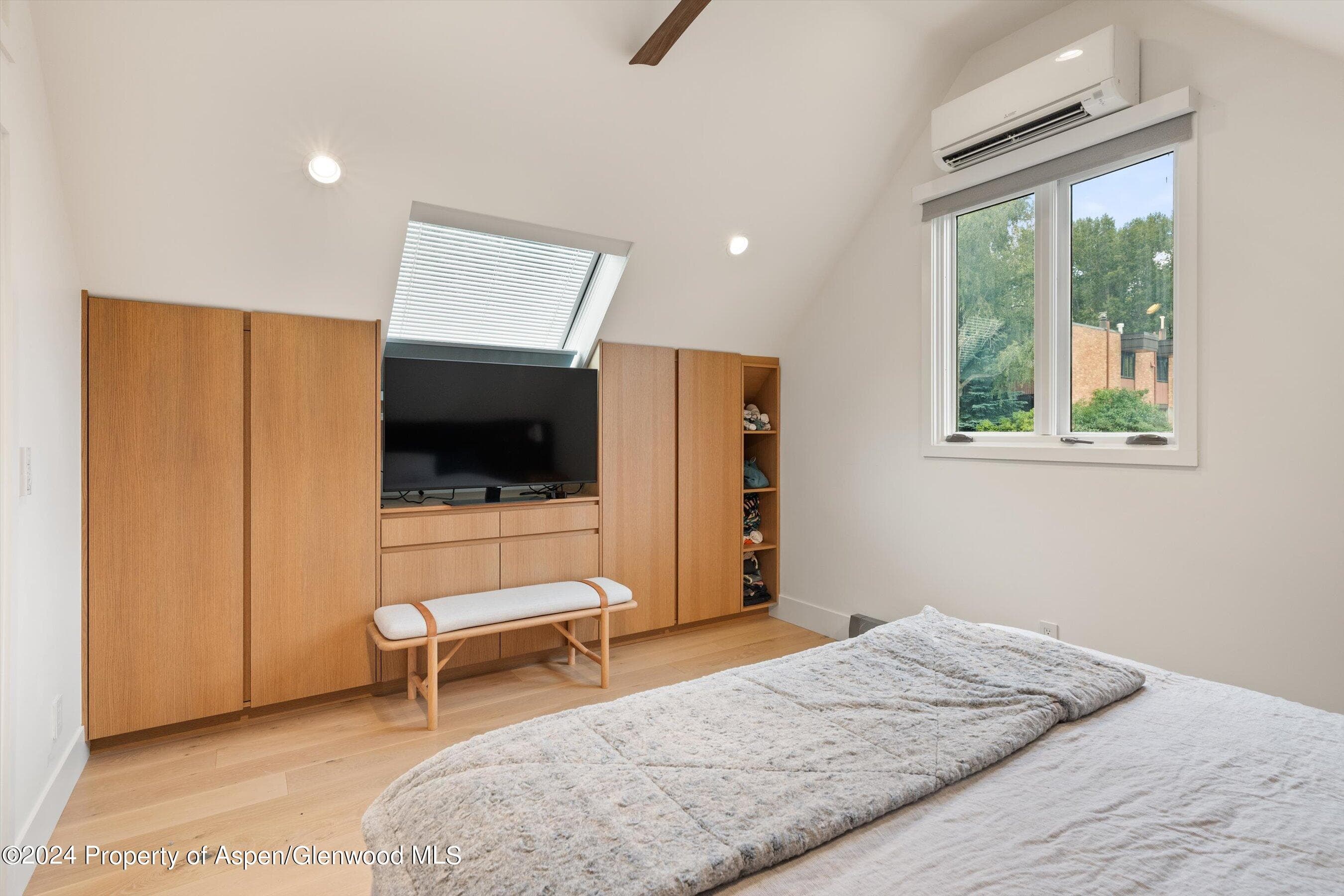 331 W Main Street Unit B, Aspen, CO 81611 - Photo 12