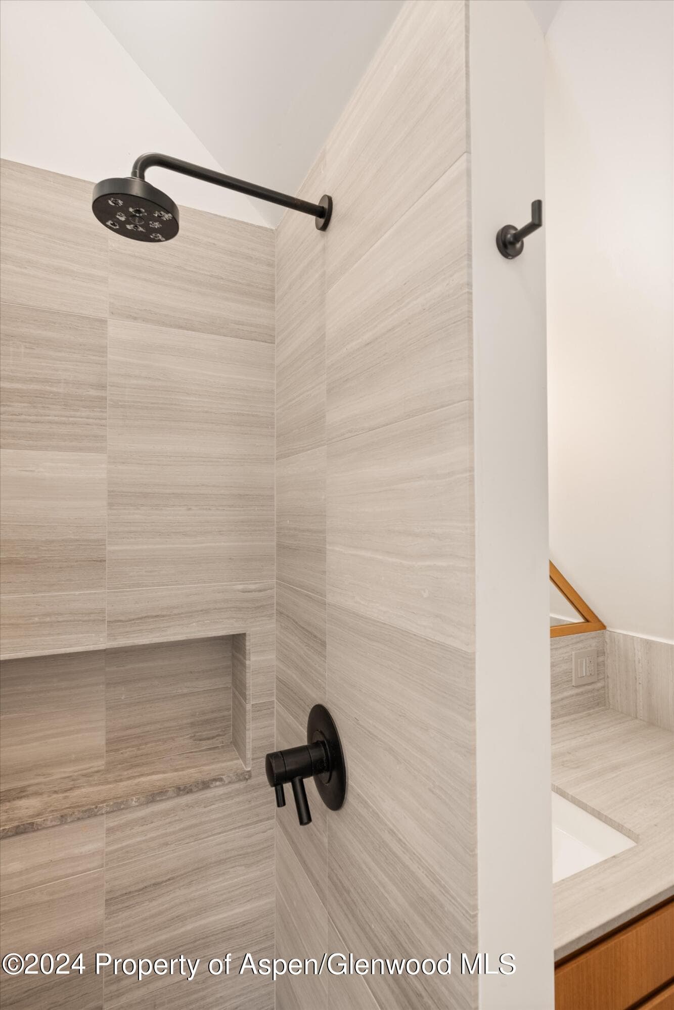 331 W Main Street Unit B, Aspen, CO 81611 - Photo 14