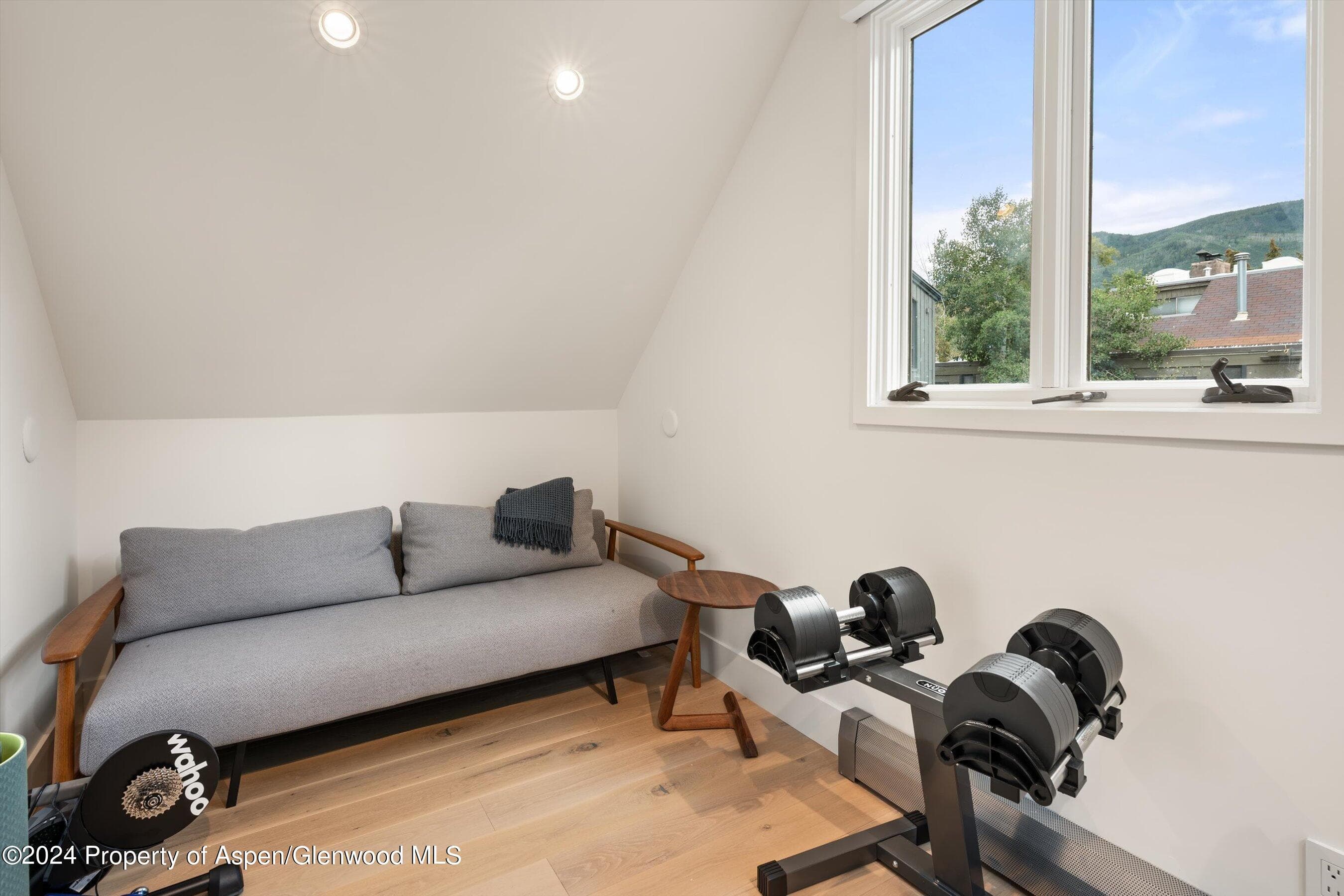 331 W Main Street Unit B, Aspen, CO 81611 - Photo 16