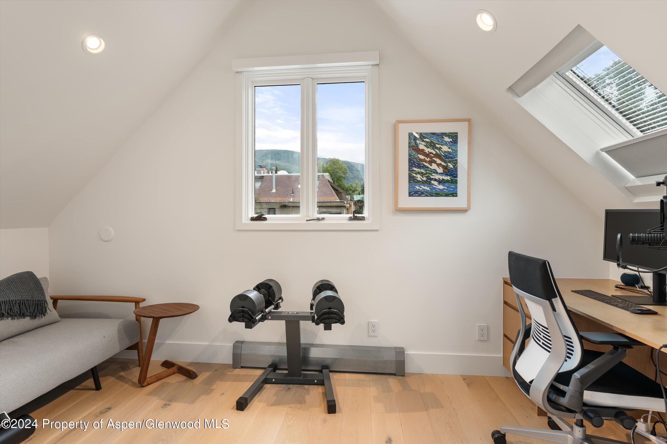 331 W Main Street Unit B, Aspen, CO 81611 - Photo 17