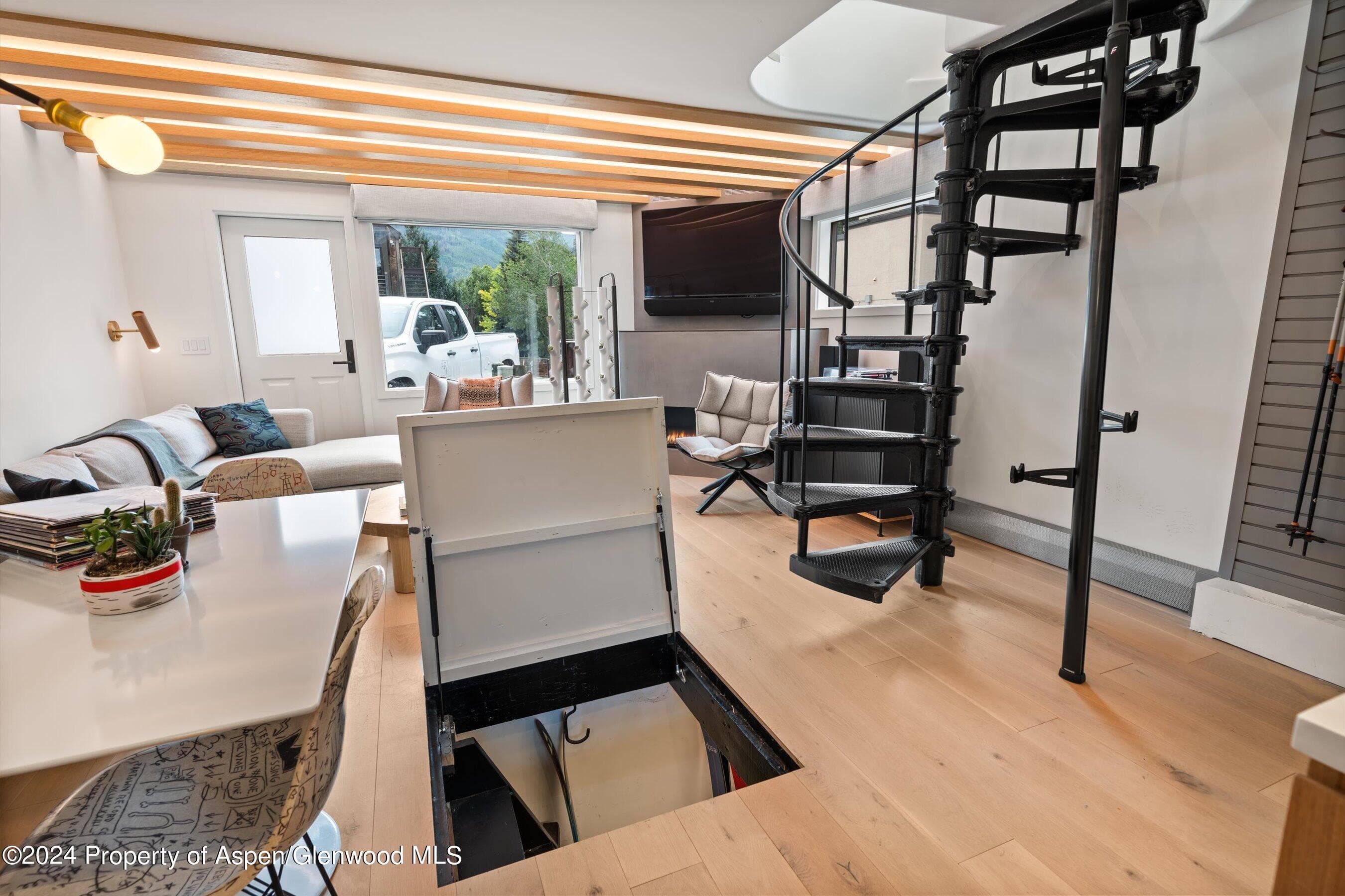 331 W Main Street Unit B, Aspen, CO 81611 - Photo 18
