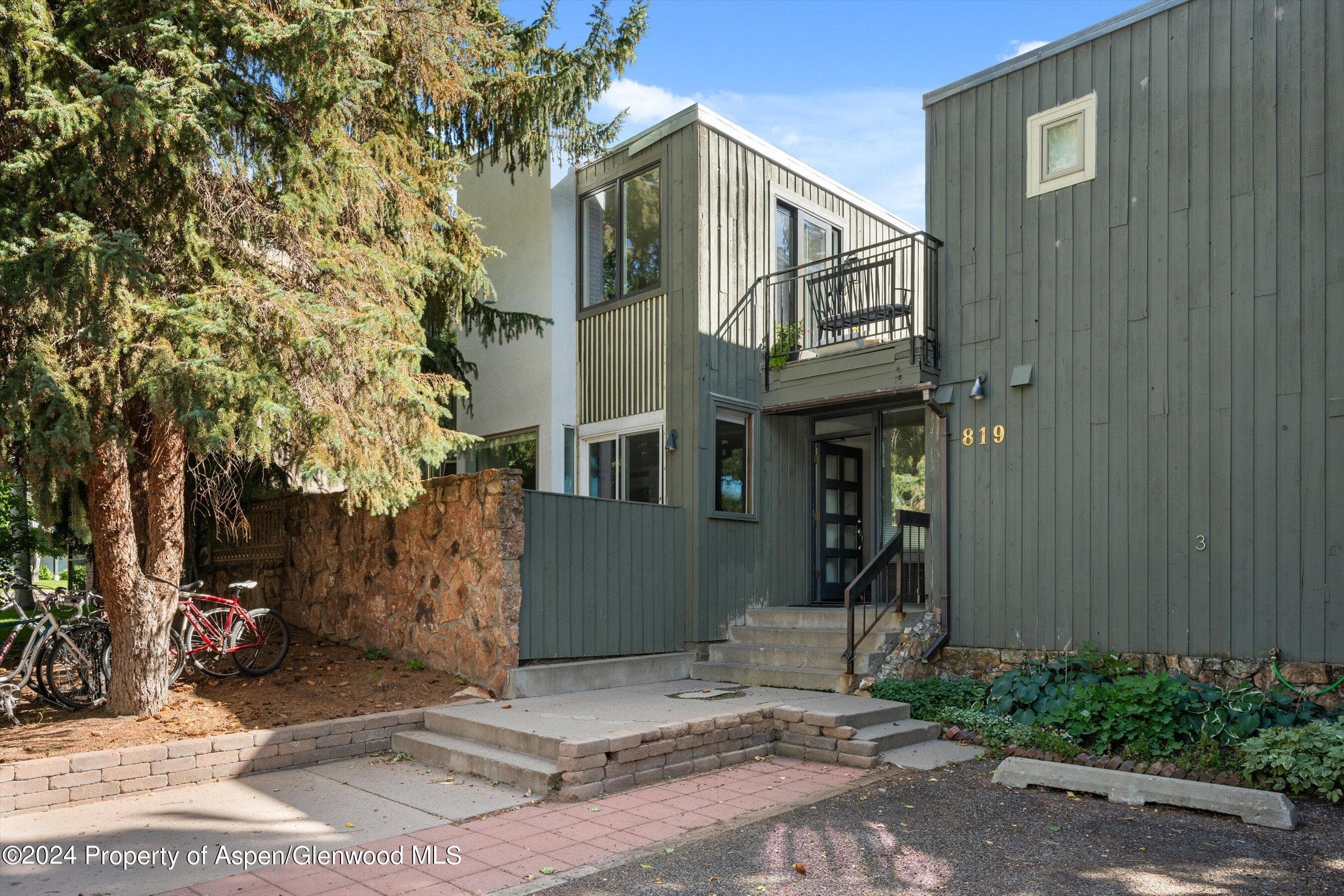 819 E Hyman Avenue 3, Aspen, CO 81611 - Photo 13