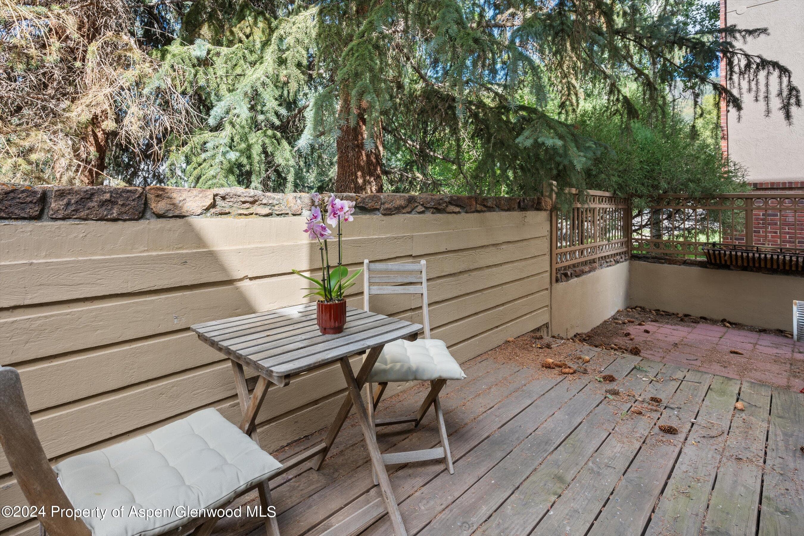 819 E Hyman Avenue 3, Aspen, CO 81611 - Photo 12