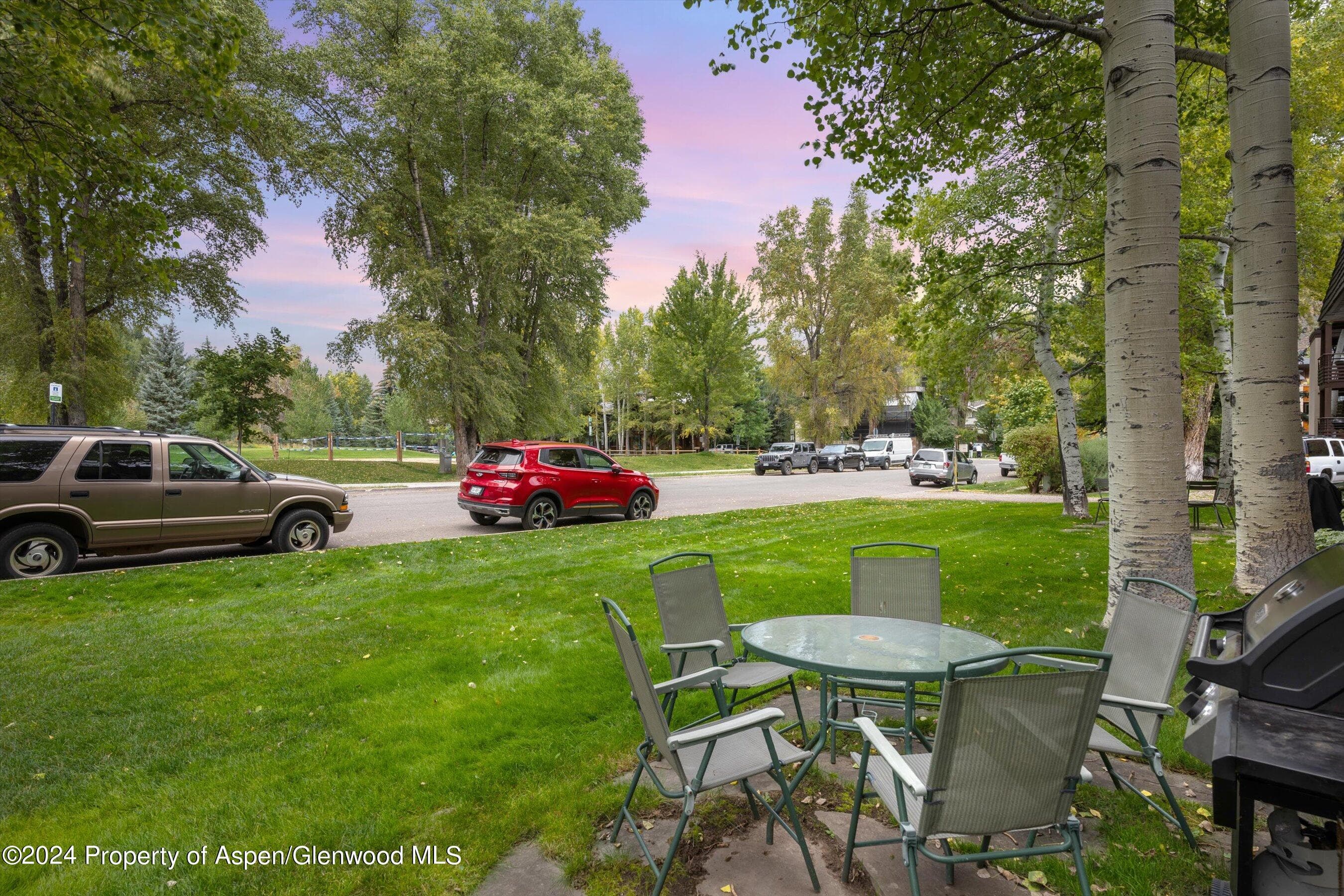 124 E Durant Avenue Unit 10, Aspen, CO 81611 - Photo 3