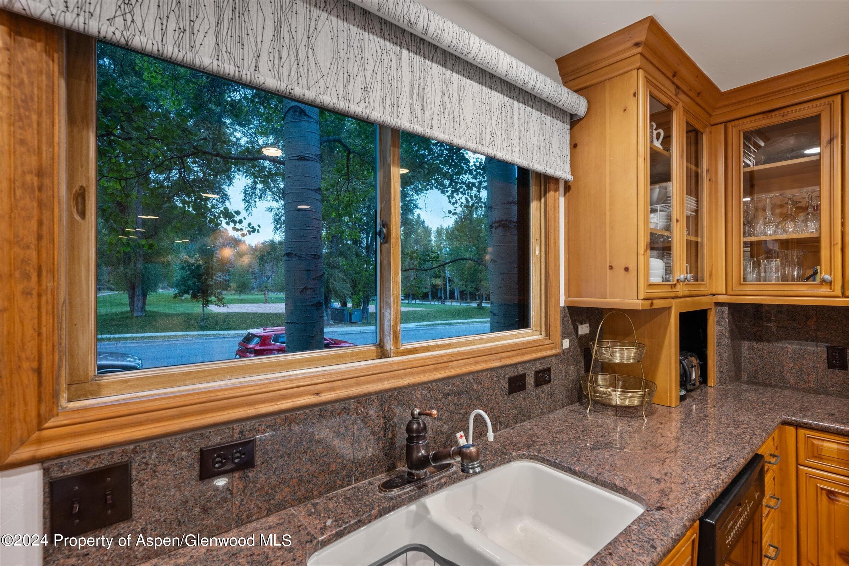 124 E Durant Avenue Unit 10, Aspen, CO 81611 - Photo 7