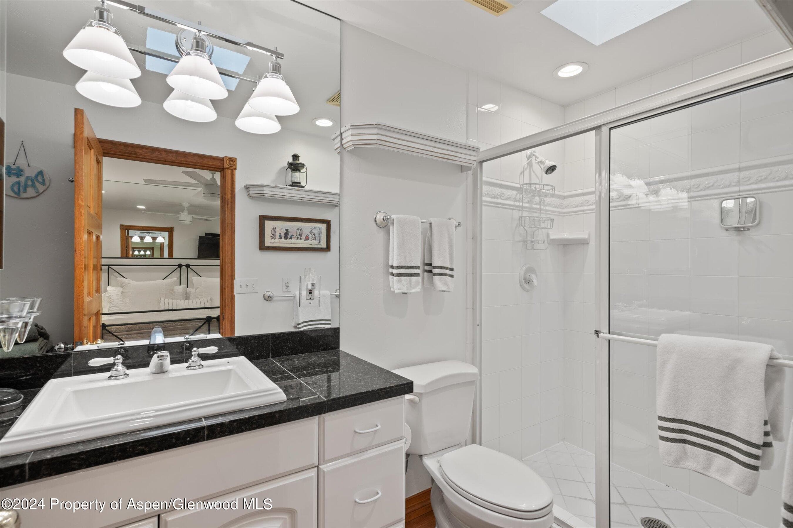 124 E Durant Avenue Unit 10, Aspen, CO 81611 - Photo 10