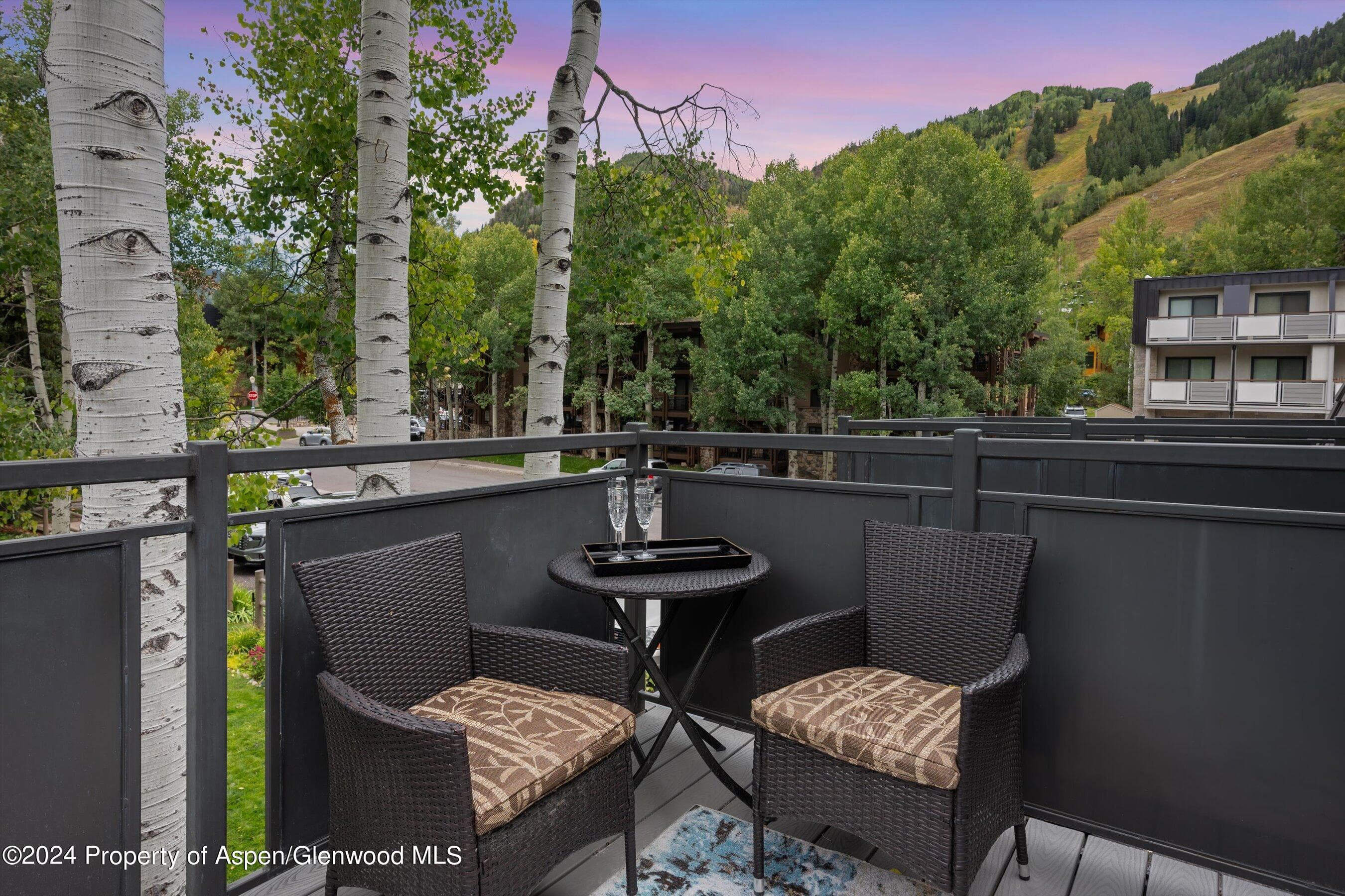 124 E Durant Avenue Unit 10, Aspen, CO 81611 - Photo 12