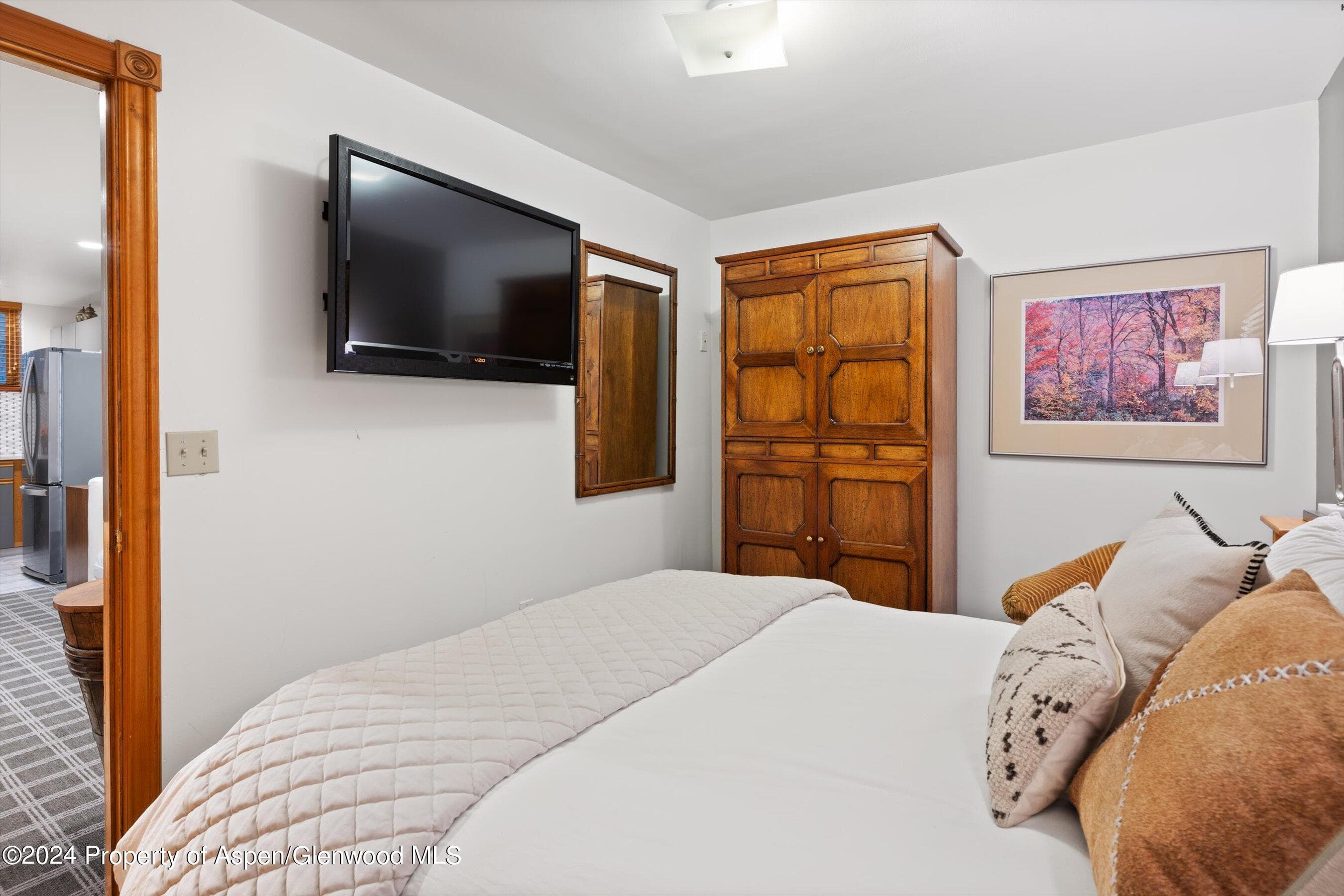 124 E Durant Avenue Unit 10, Aspen, CO 81611 - Photo 17