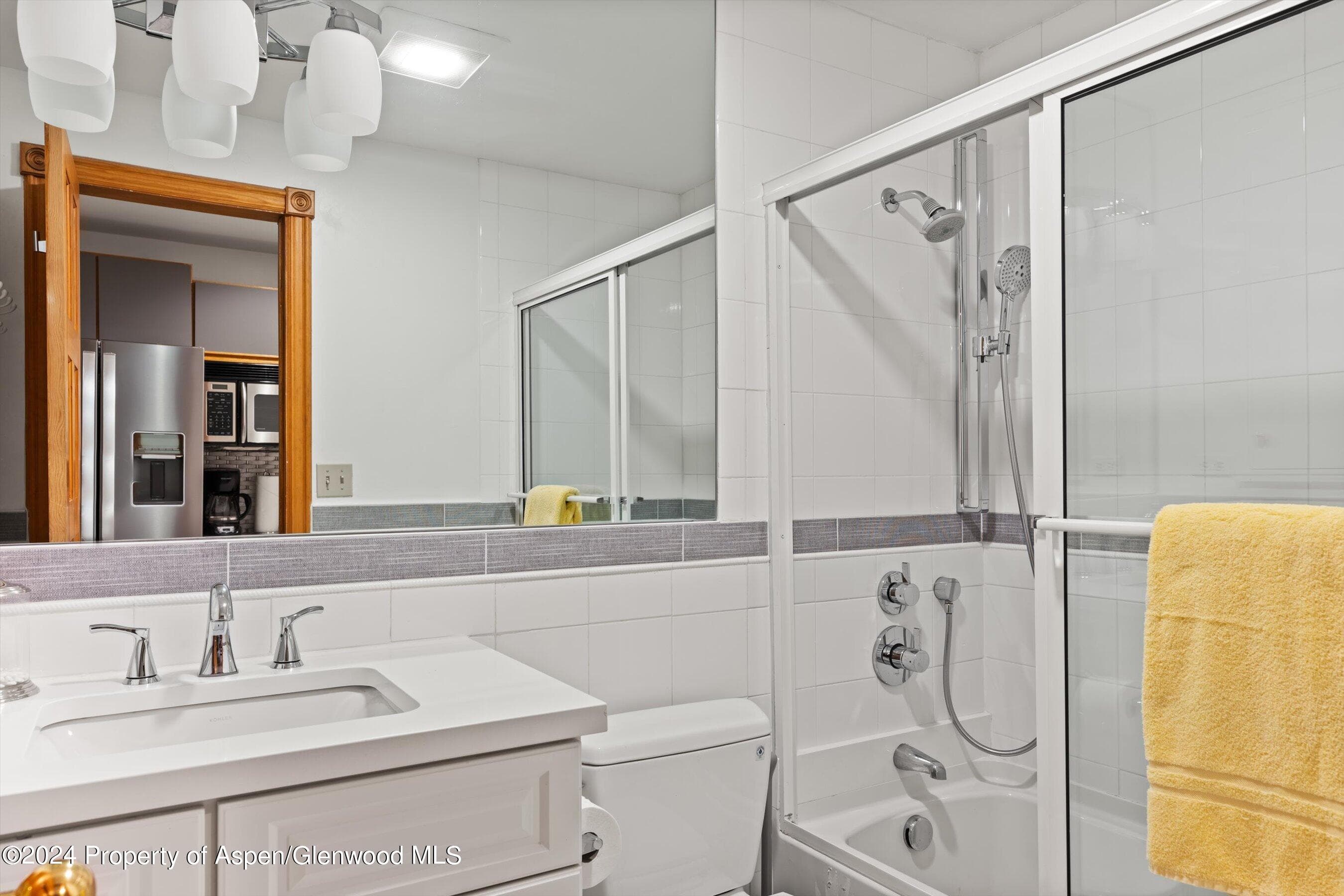 124 E Durant Avenue Unit 10, Aspen, CO 81611 - Photo 18