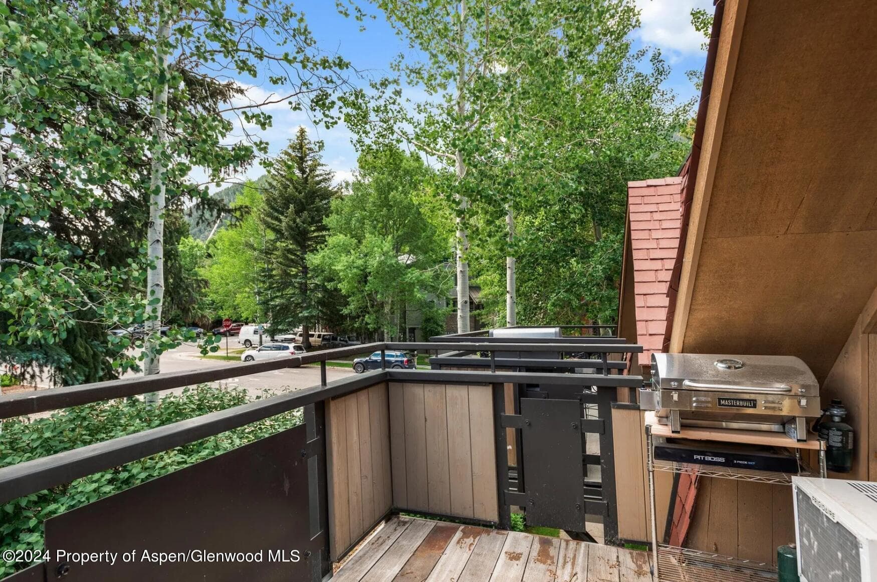 108 W Hyman Avenue 2, Aspen, CO 81611