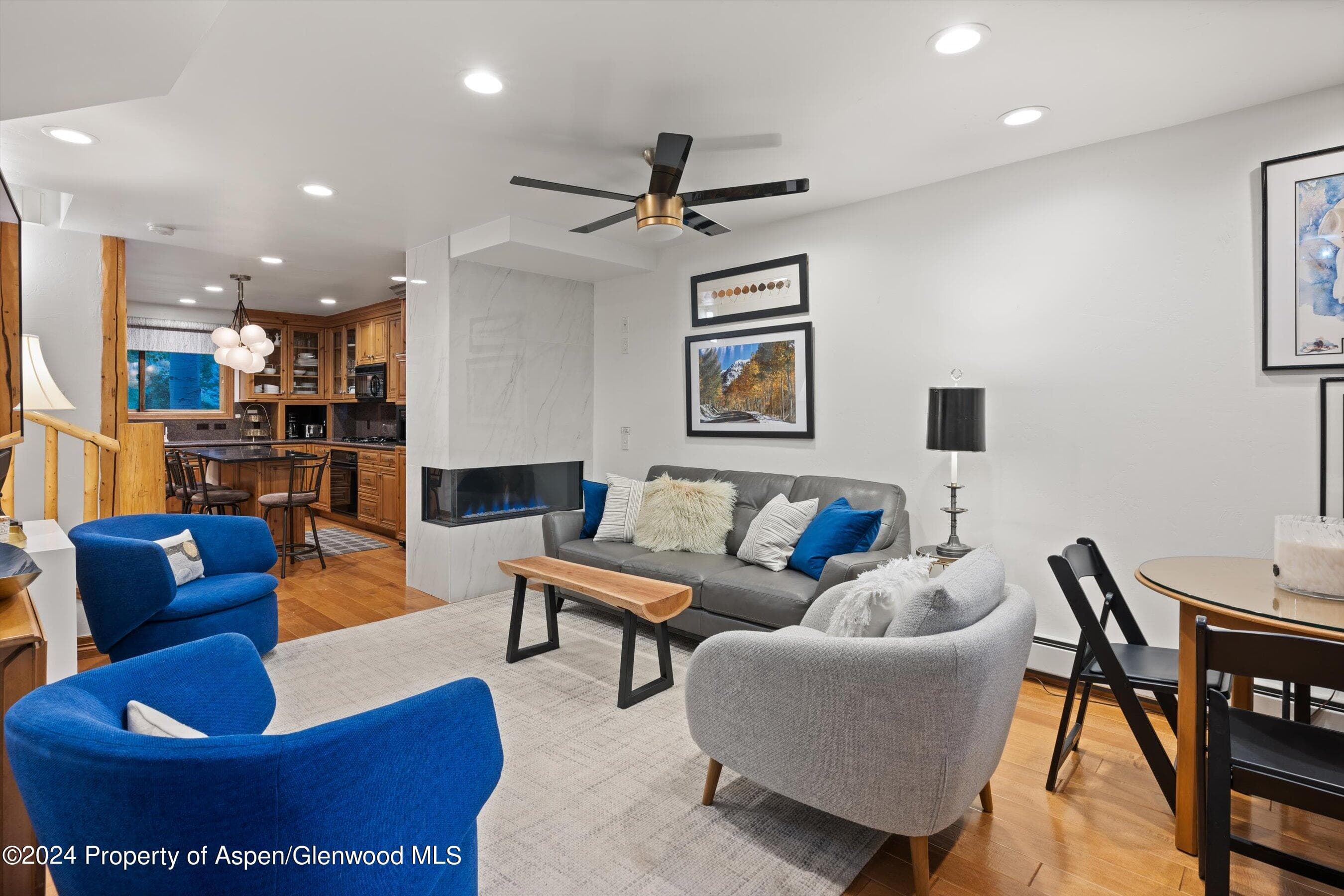 124 E Durant Avenue Unit 10, Aspen, CO 81611 - Photo 5
