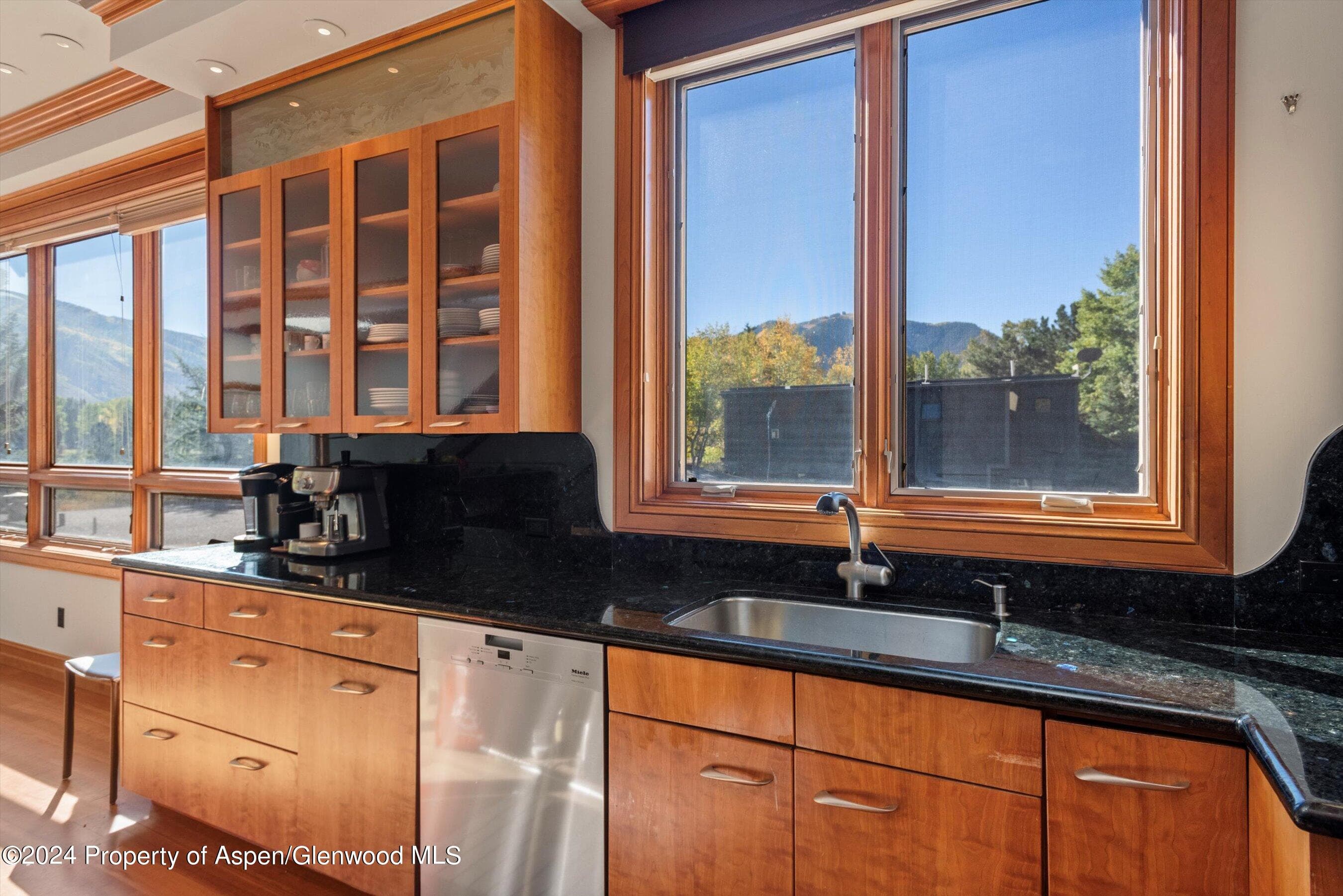 1085 Cemetery Lane A, Aspen, CO 81611 - Photo 9