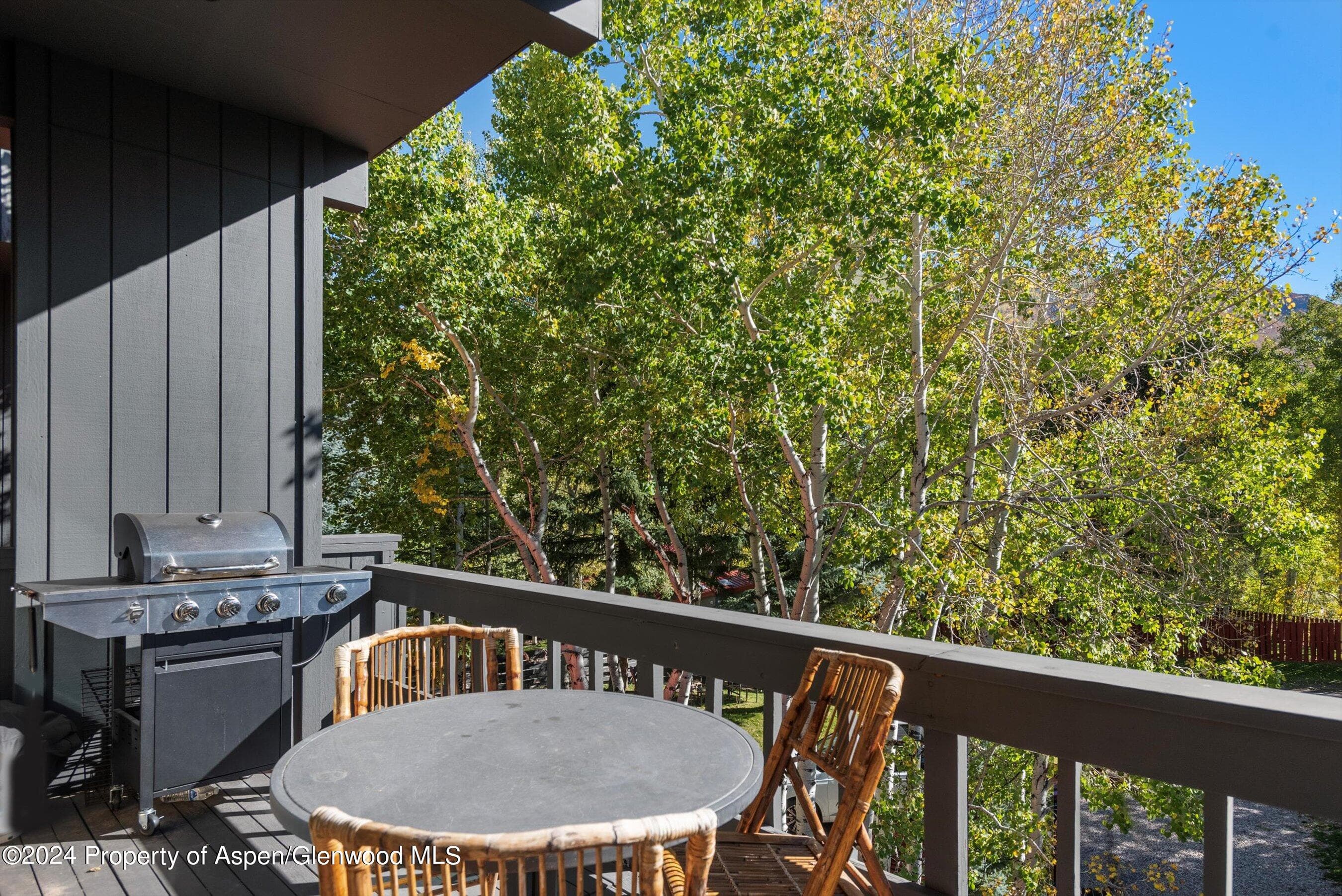 1085 Cemetery Lane A, Aspen, CO 81611 - Photo 22