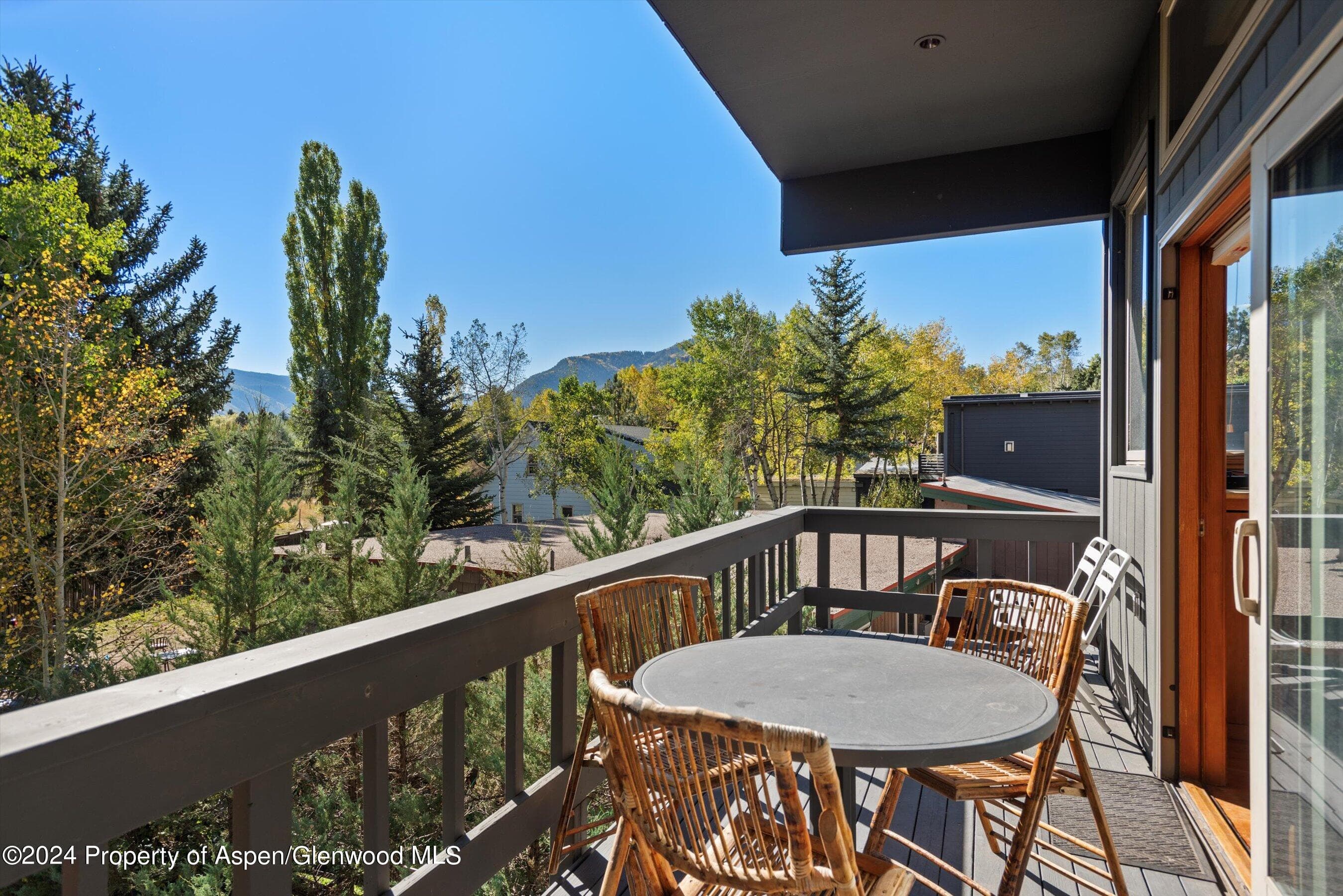 1085 Cemetery Lane A, Aspen, CO 81611 - Photo 23