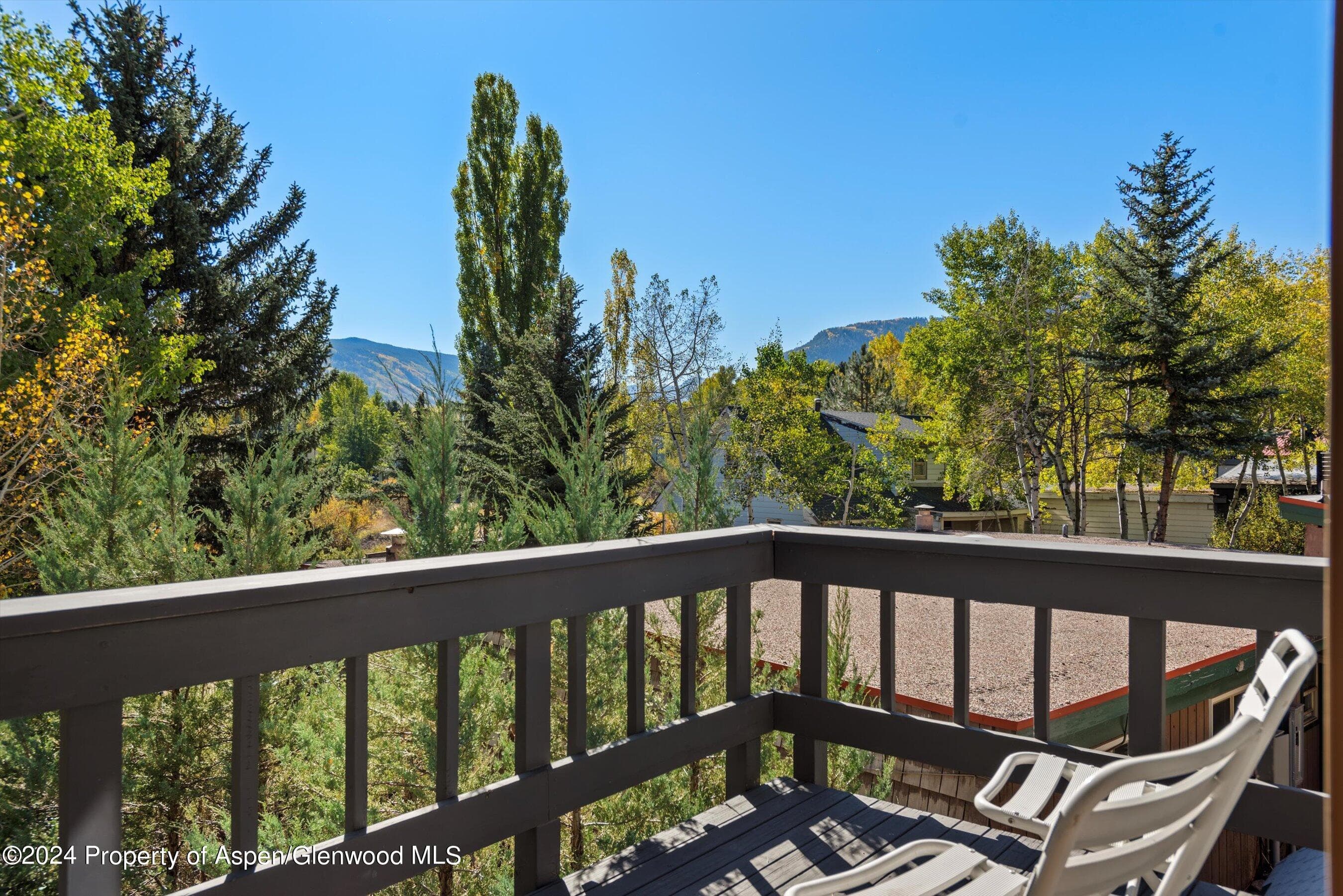 1085 Cemetery Lane A, Aspen, CO 81611 - Photo 24