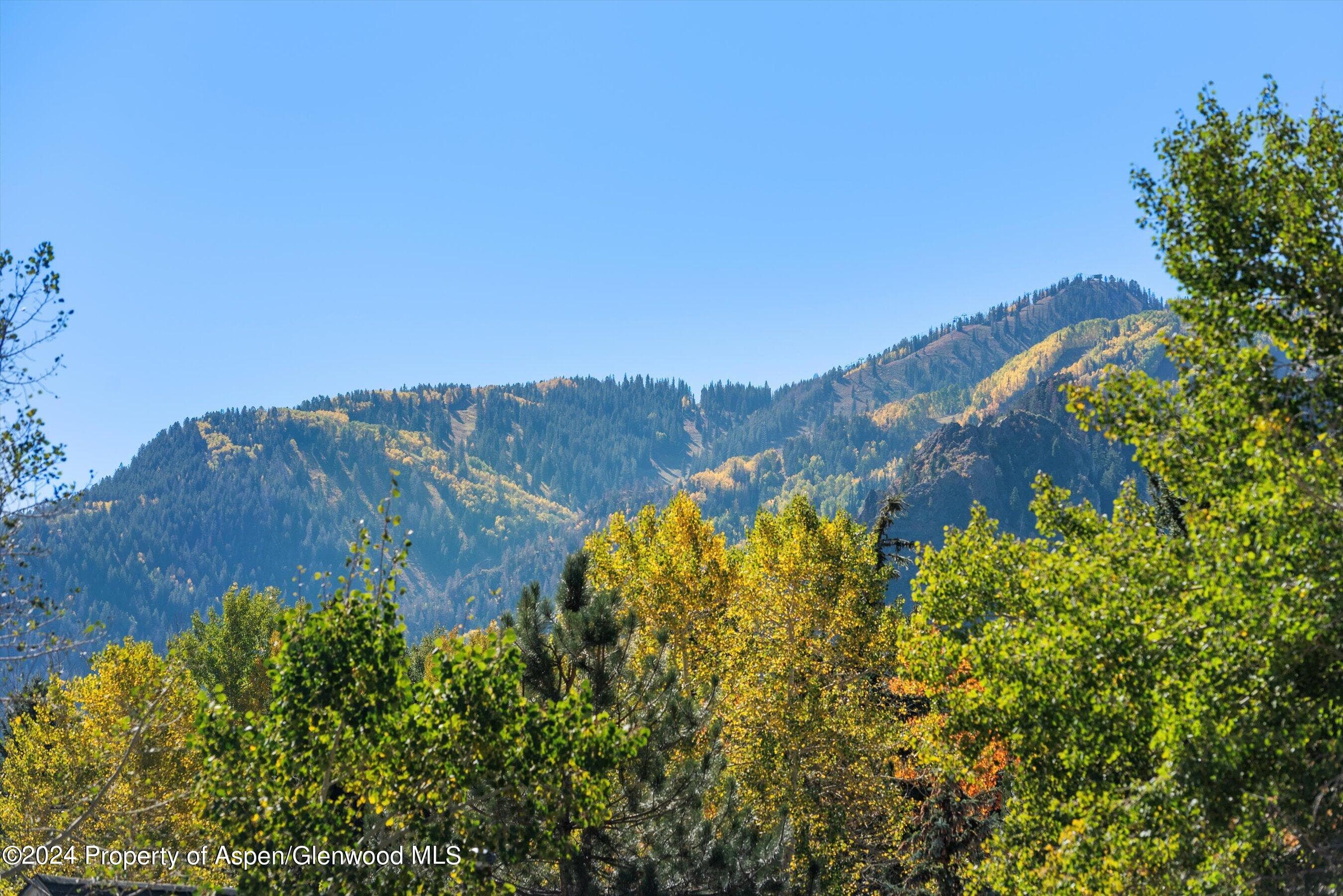 1085 Cemetery Lane A, Aspen, CO 81611 - Photo 25