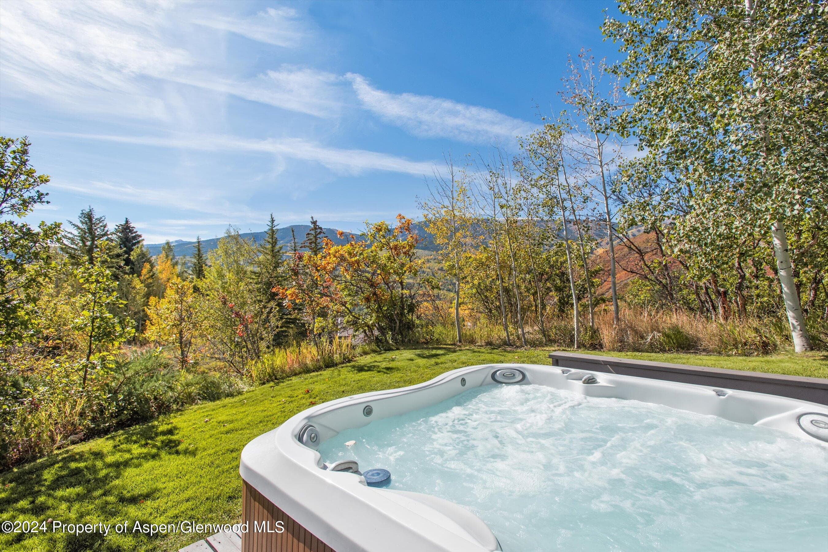 92 Wildridge Lane, Snowmass Village, CO 81615 - Photo 3