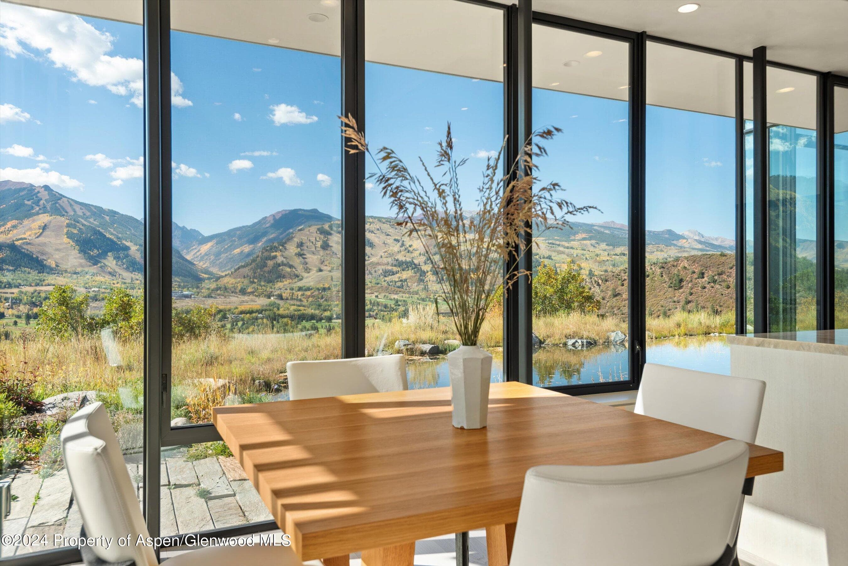 600 Nell Erickson Road, Aspen, CO 81611 - Photo 12