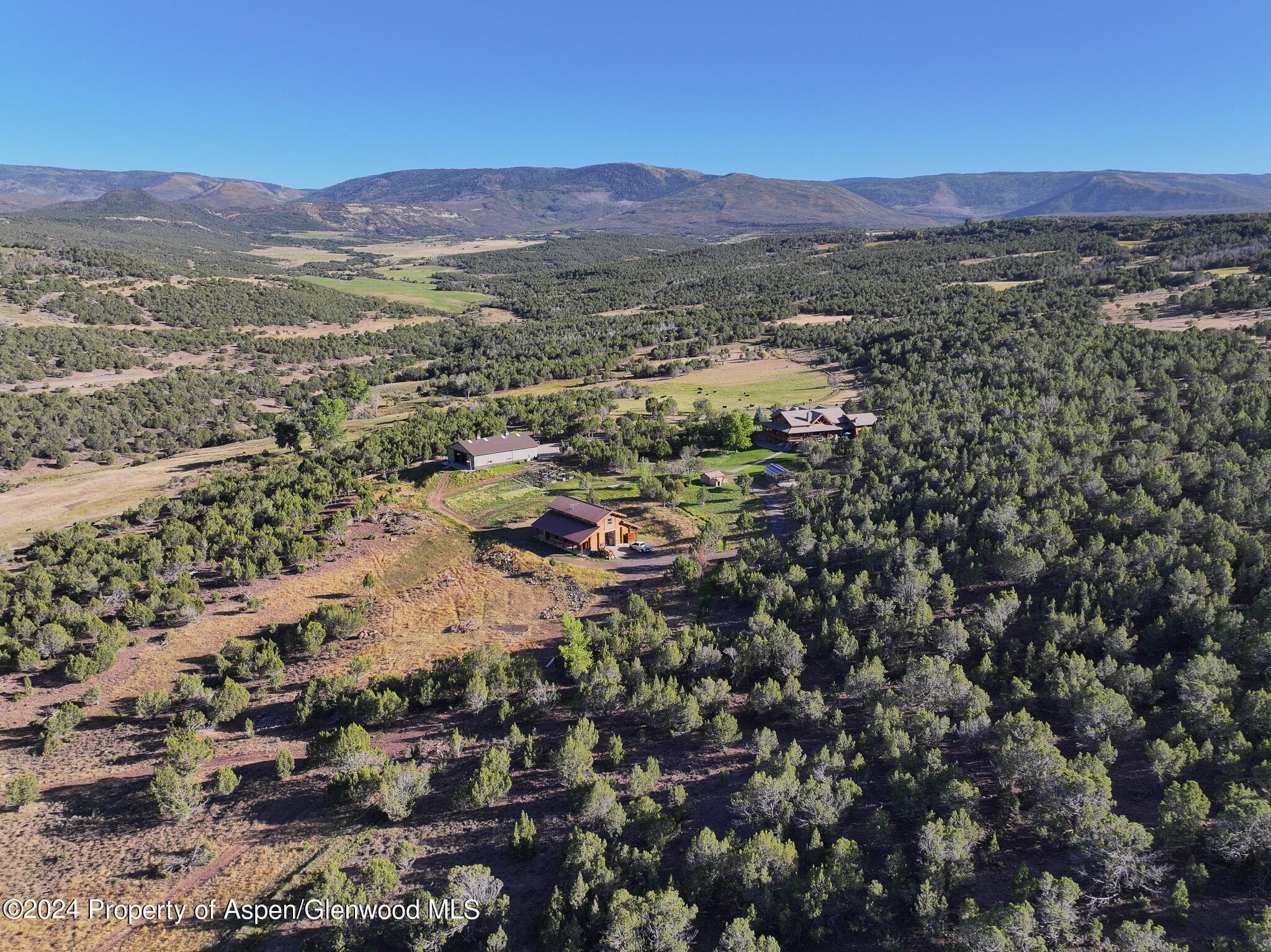 56106 Me Road, Collbran, CO 81624 - Photo 3