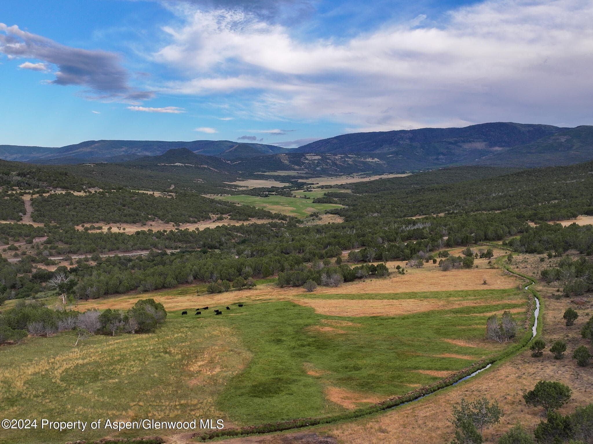 56106 Me Road, Collbran, CO 81624 - Photo 4