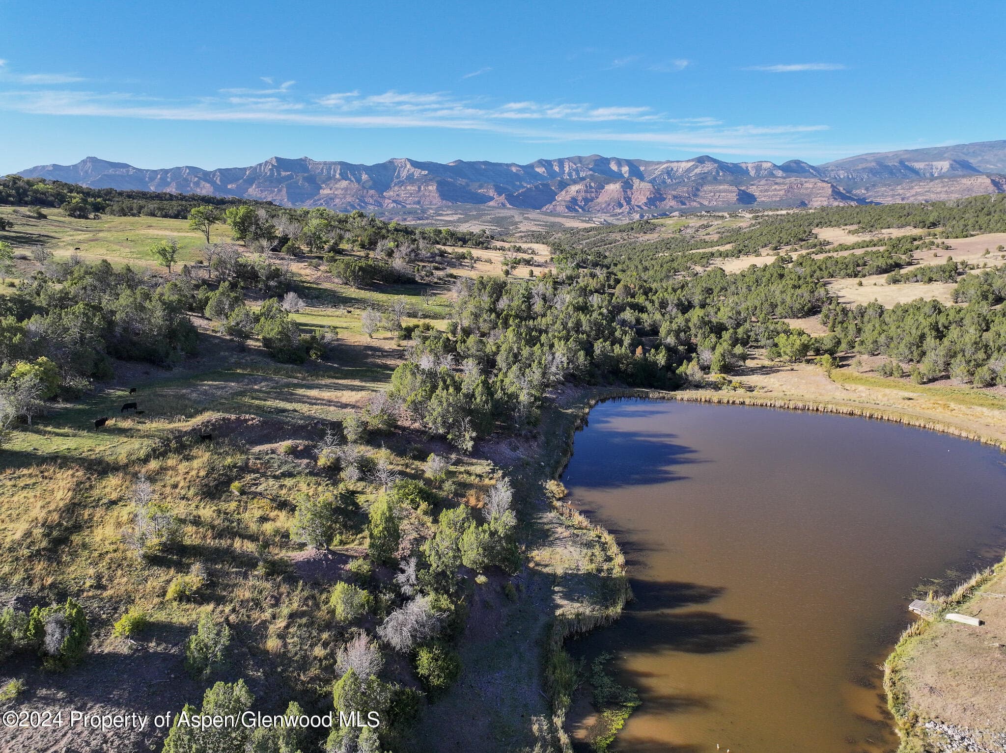 56106 Me Road, Collbran, CO 81624 - Photo 7