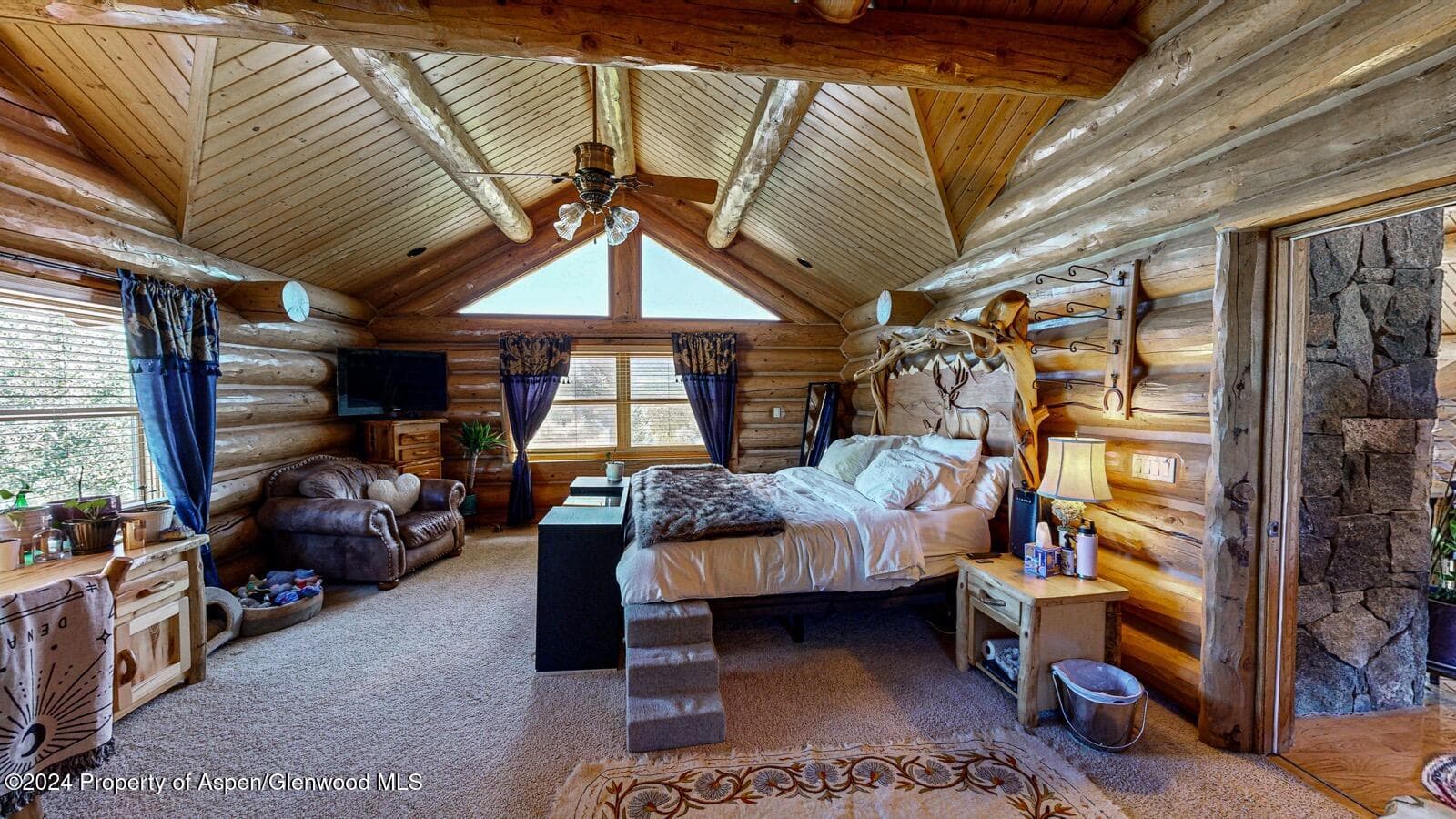 56106 Me Road, Collbran, CO 81624 - Photo 21
