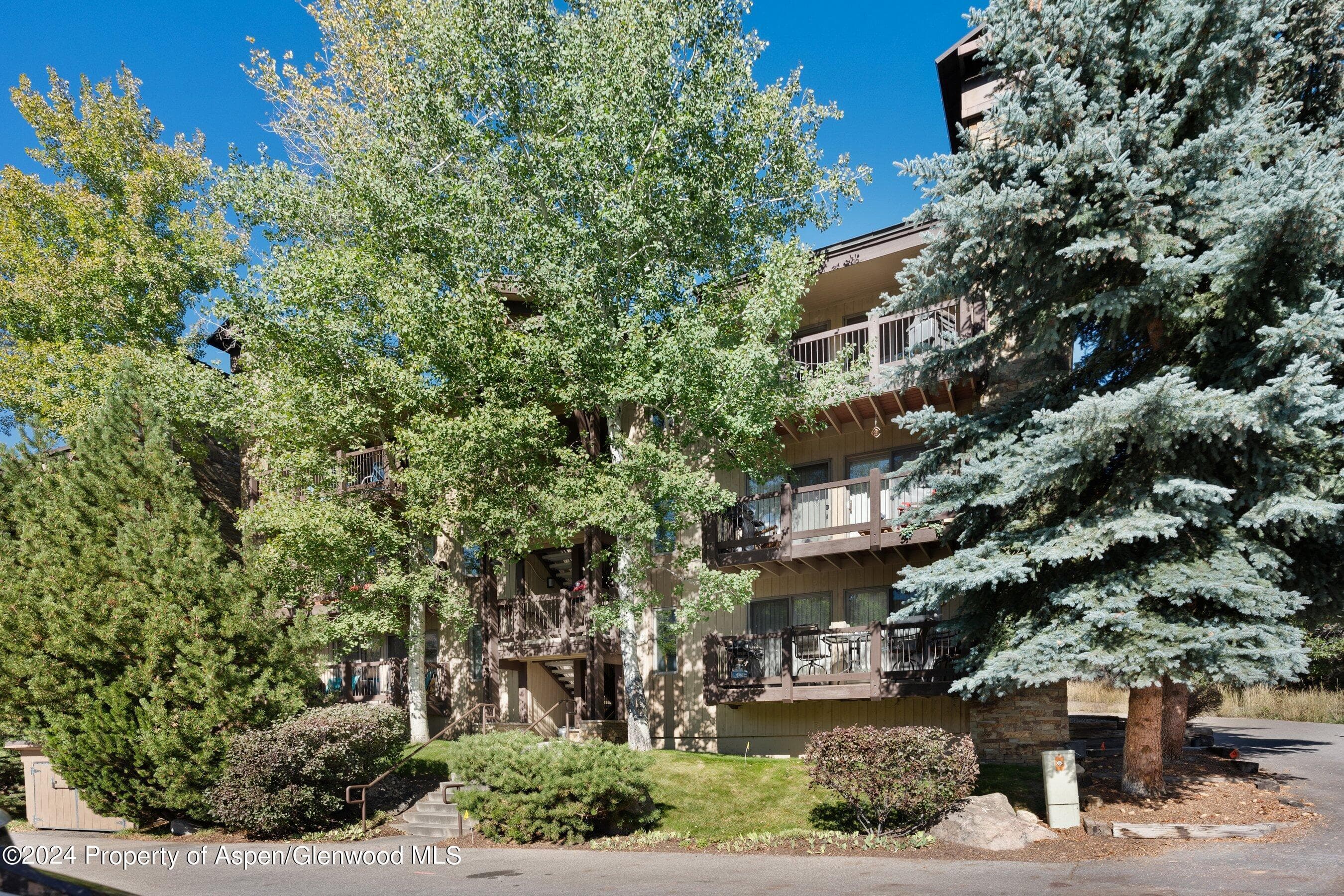 35 Upper Woodbridge Road 26EF, Snowmass Village, CO 81615