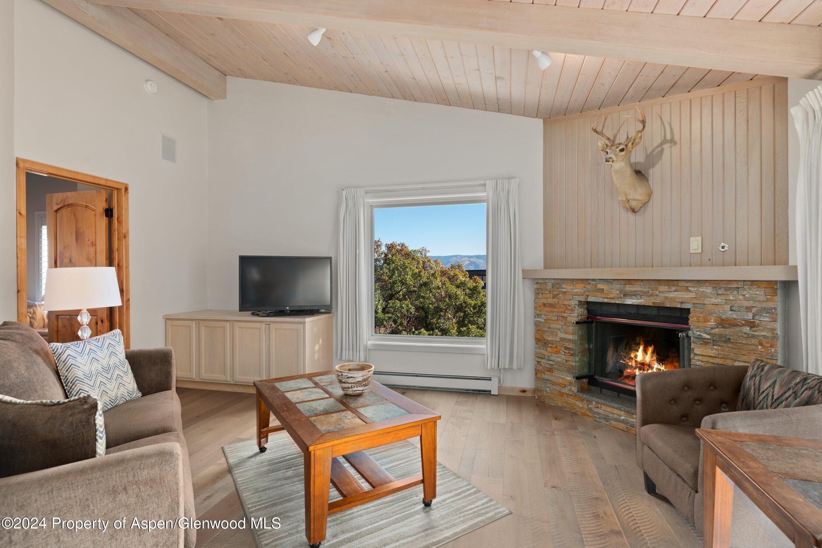 35 Upper Woodbridge Road 26EF, Snowmass Village, CO 81615 - Photo 3