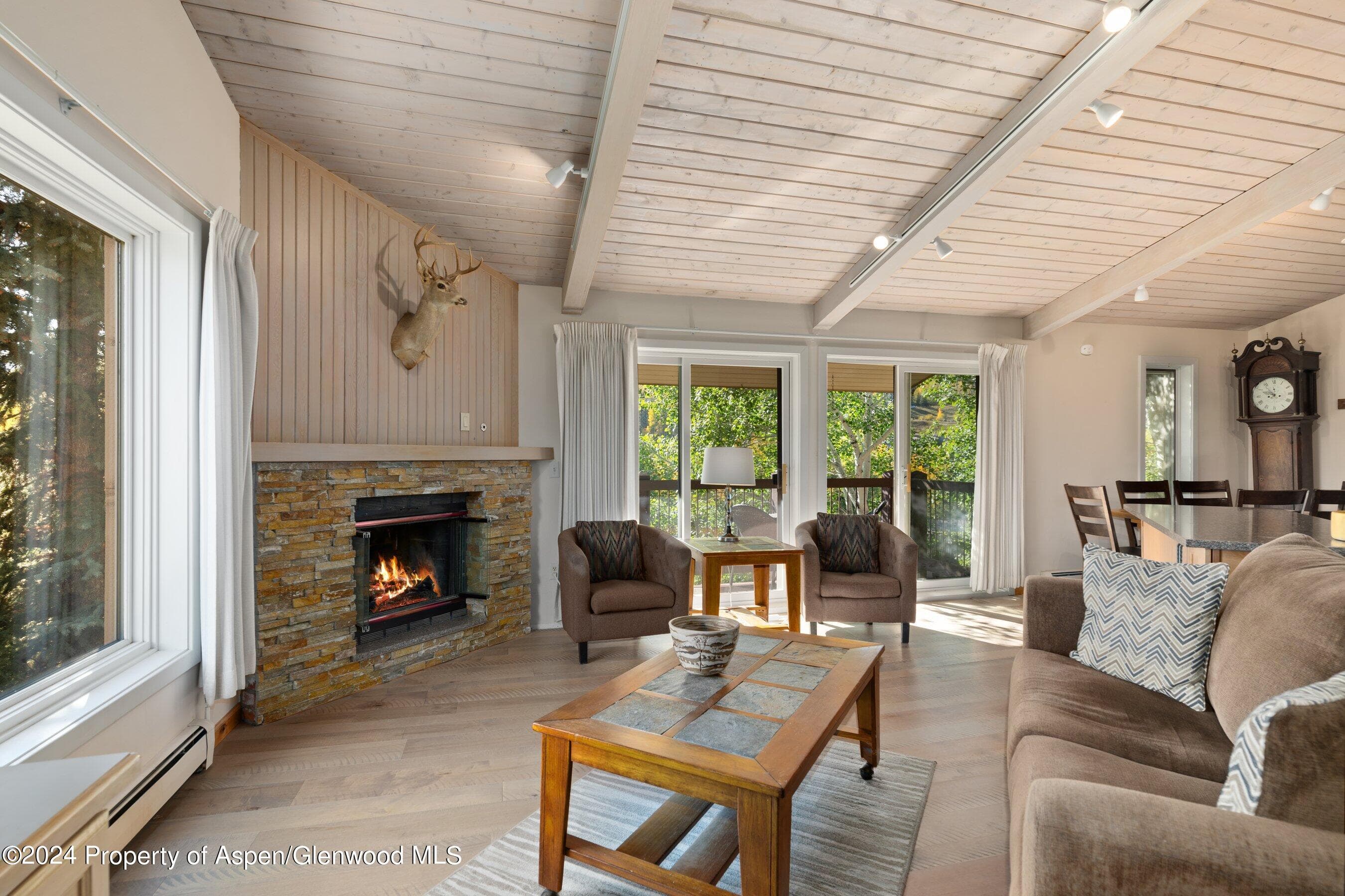 35 Upper Woodbridge Road 26EF, Snowmass Village, CO 81615 - Photo 2
