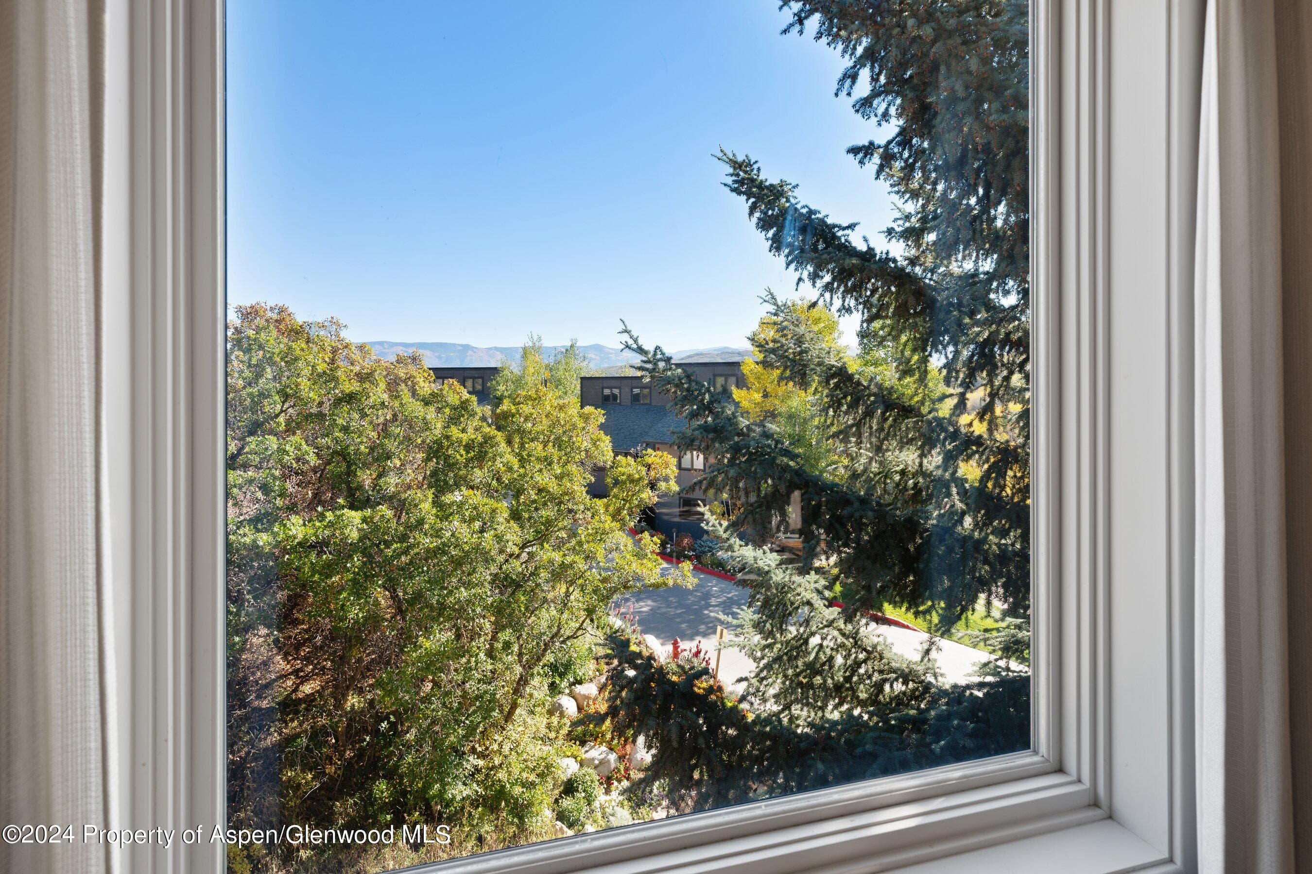 35 Upper Woodbridge Road 26EF, Snowmass Village, CO 81615 - Photo 4