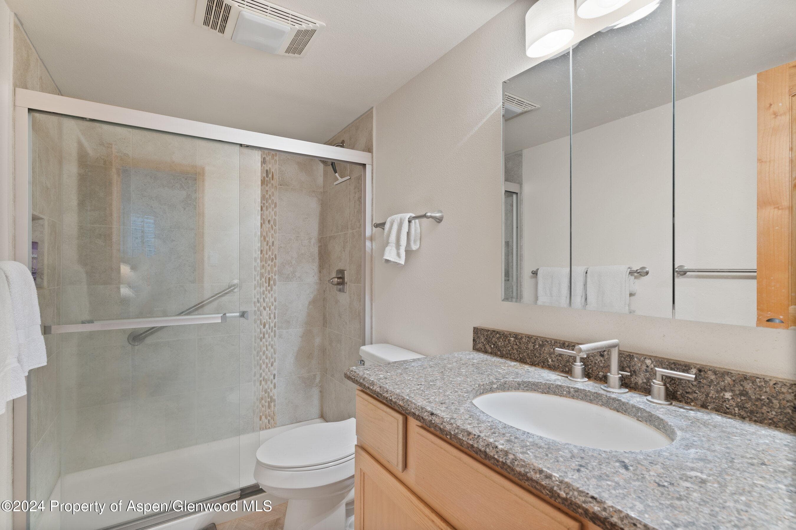 35 Upper Woodbridge Road 26EF, Snowmass Village, CO 81615 - Photo 13