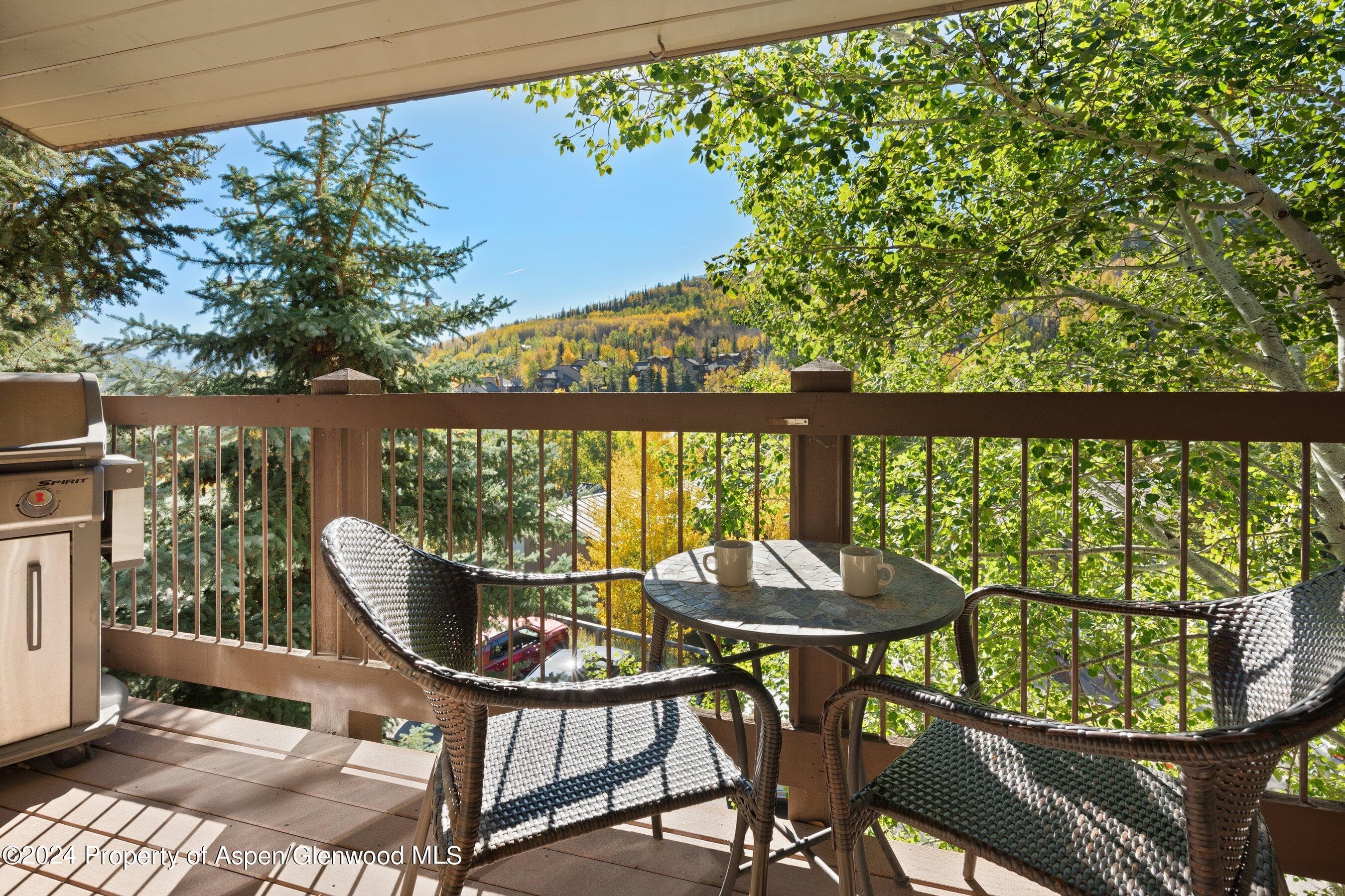 35 Upper Woodbridge Road 26EF, Snowmass Village, CO 81615 - Photo 7