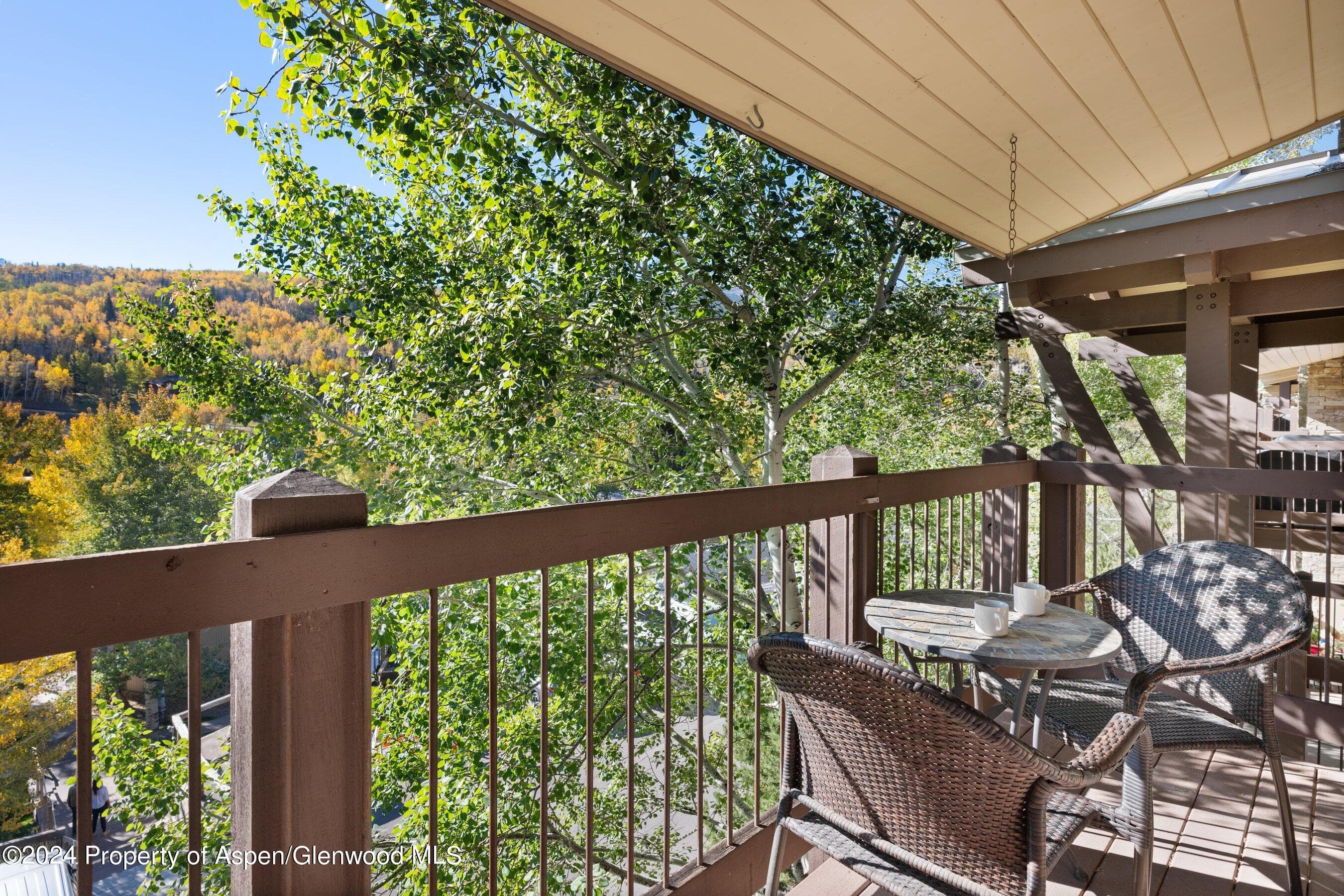 35 Upper Woodbridge Road 26EF, Snowmass Village, CO 81615 - Photo 8