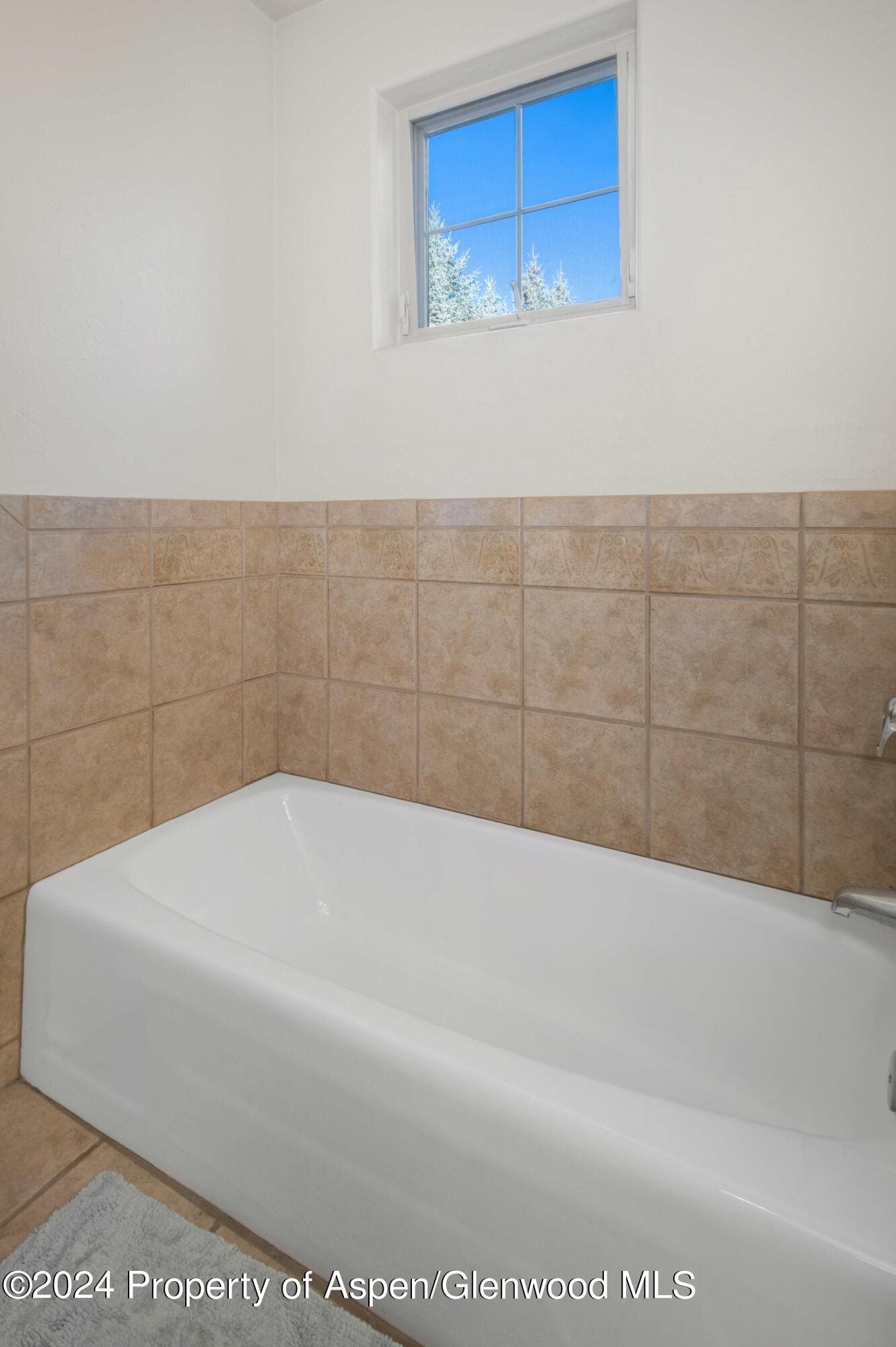 532 Evans Court, Basalt, CO 81621 - Photo 21