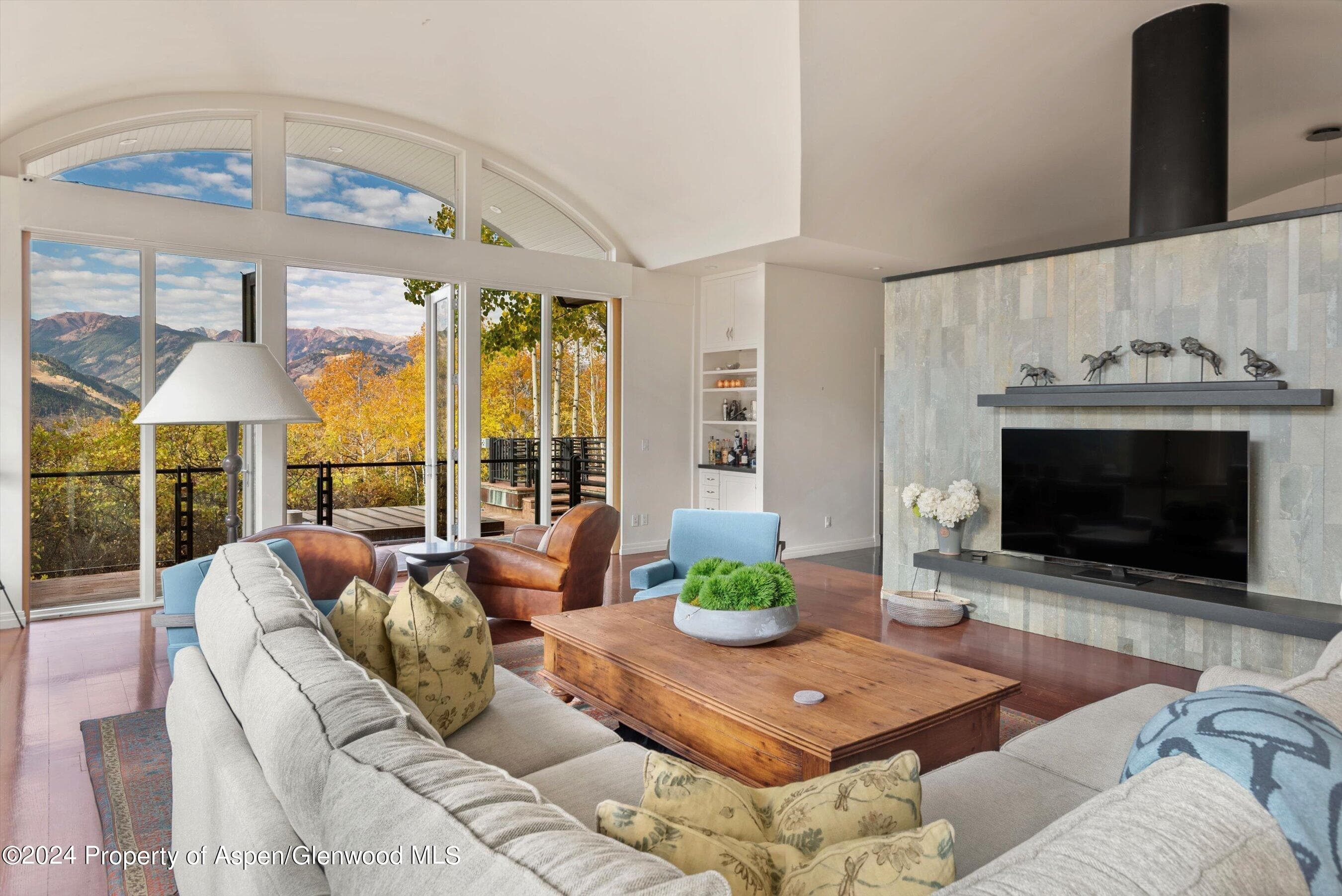 746 Hunter Creek Road, Aspen, CO 81611 - Photo 6