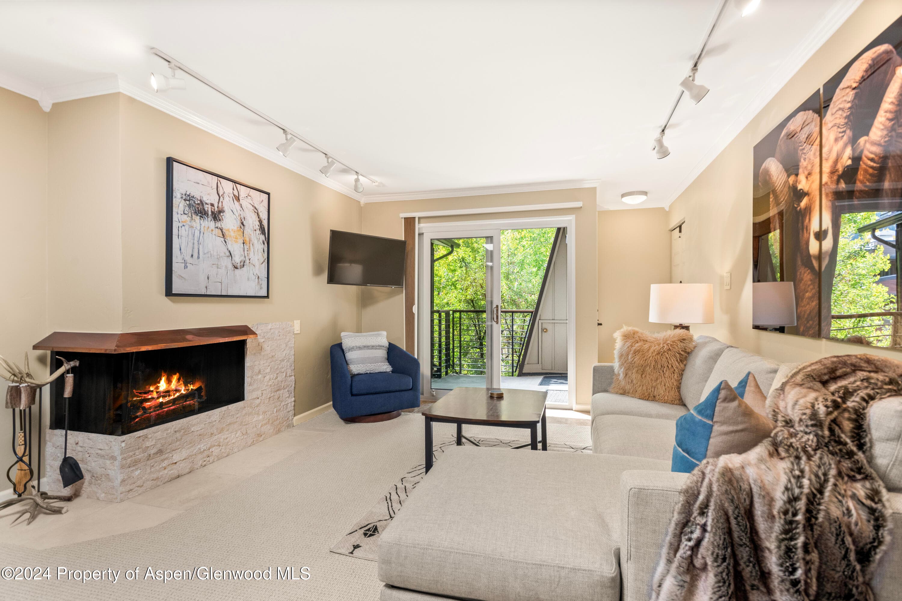 210 E Cooper Avenue 3b, Aspen, CO 81611