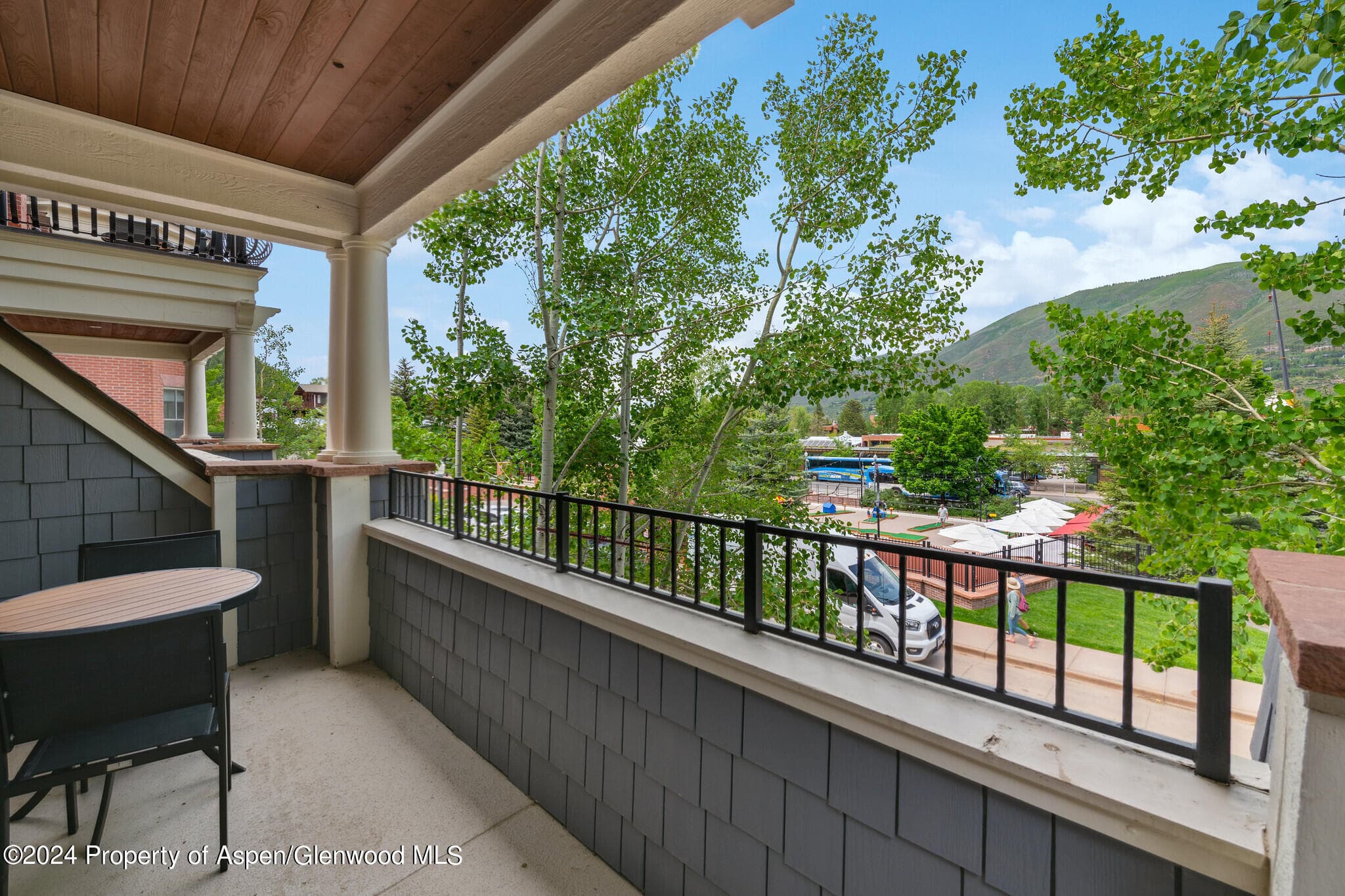 415 E Dean St, Unit 17, Weeks 32/33, Aspen, CO 81611 - Photo 15