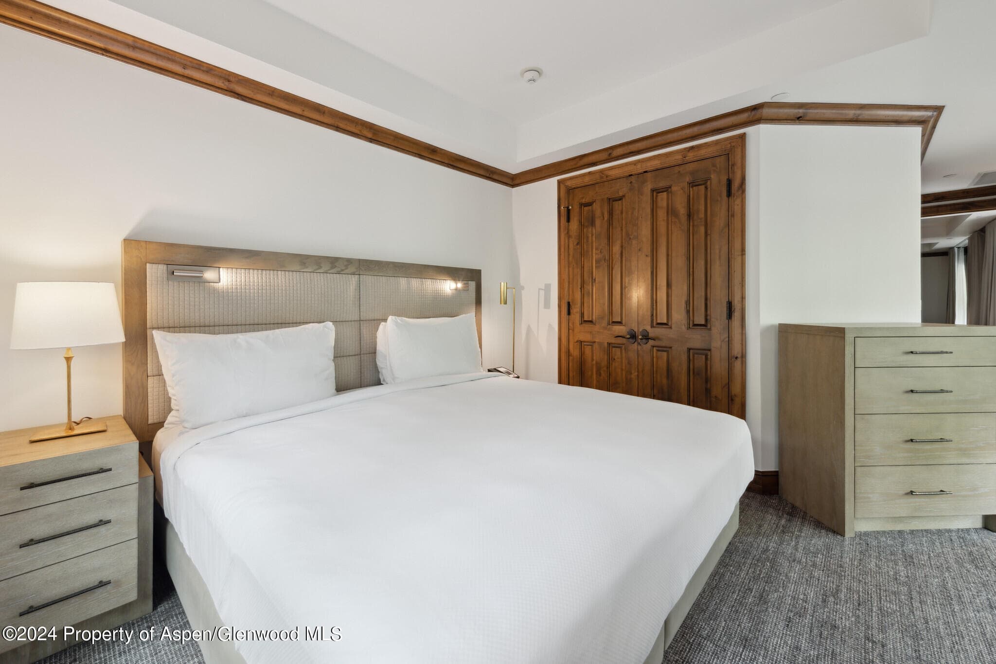415 E Dean St, Unit 17, Weeks 32/33, Aspen, CO 81611 - Photo 16